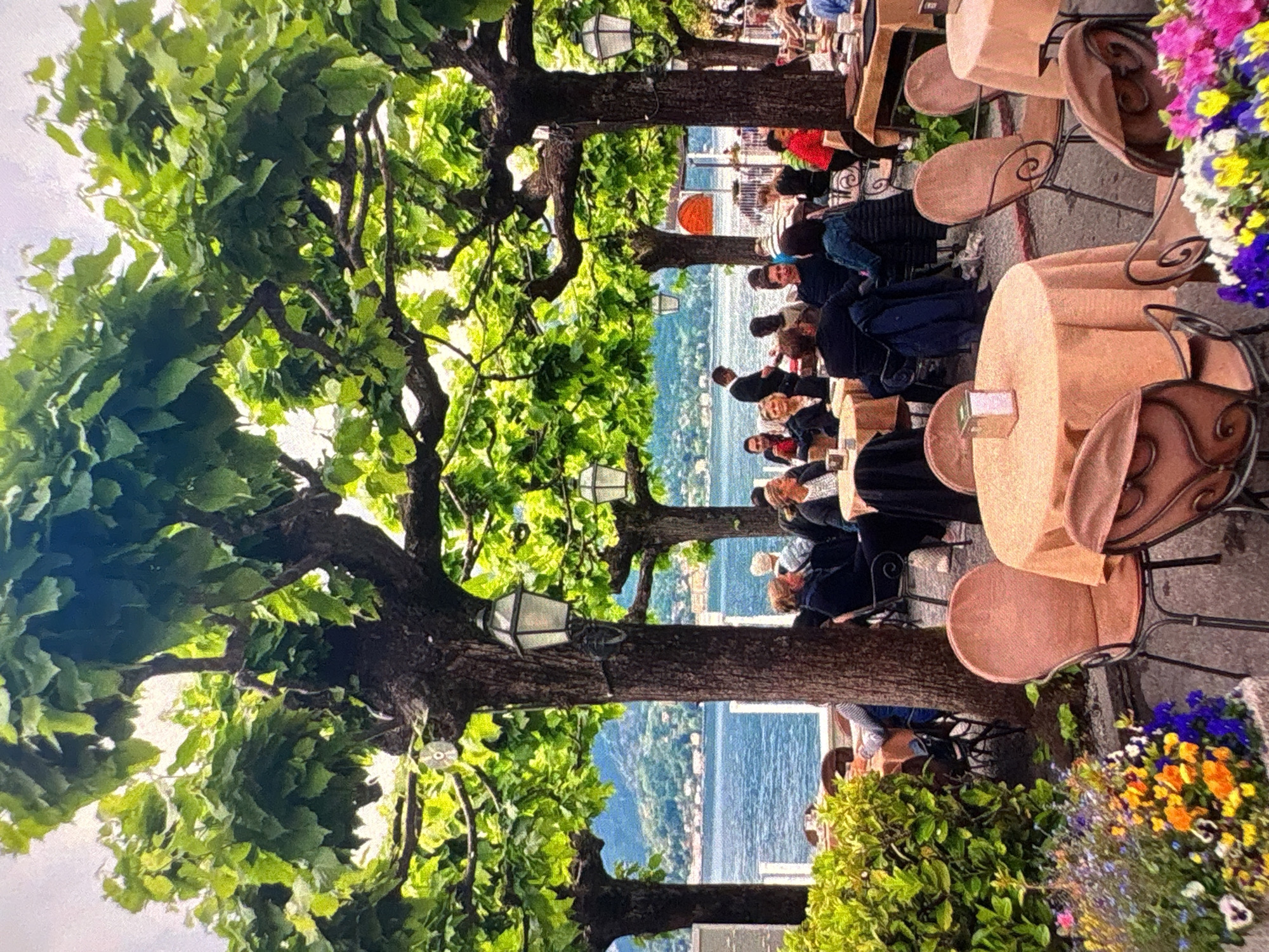 This vibrant outdoor scene depicts a lively cafe or restaurant situated along a picturesque waterfront. The setting is dominated by several large, mature trees with thick, gnarled trunks and abundant green foliage, which form a natural canopy and provide shade over the dining area. Lantern-style lights are affixed to the tree trunks, suggesting evening use, though the current bright ambient light indicates daytime.
Numerous patrons are seated at round tables, each covered with a light brown or beige tablecloth. The accompanying chairs feature decorative wrought-iron frames and matching light brown seats. People, dressed in various casual attires, are seen socializing and dining, enjoying the pleasant atmosphere. Some figures are clearly visible, including individuals in red and dark clothing.
In the background, a wide expanse of blue water, likely a lake or a bay, stretches towards the horizon, with distant mountains or hills lining the far shore. The bright, clear lighting suggests a sunny day. Colorful flower arrangements, featuring purple, yellow, orange, and white blooms, are placed around the cafe, adding to its charm. The overall mood is one of relaxation and leisure in a scenic environment. There is no visible text in the image.