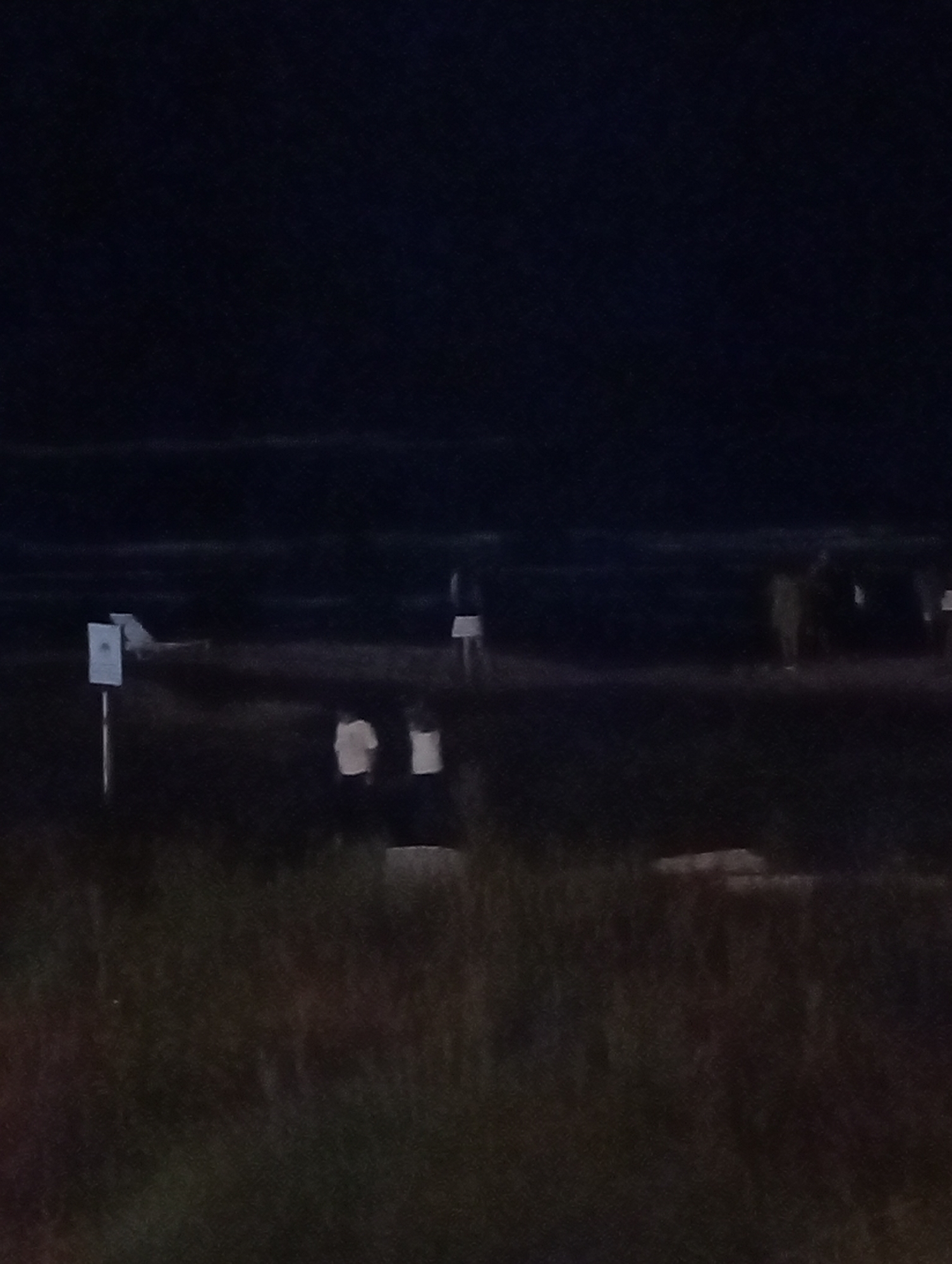 The image depicts a dark, low-light scene, possibly a beach or coastal area at night. In the foreground, there is dense vegetation or tall grass. Further back, there are several indistinct figures and structures.
To the left, there are two white signs on poles, one with a dark square on it. In the middle ground, there appear to be two blurred white objects, possibly people or bins. Further to the right, there are more faint, silhouette-like figures.
The background shows a dark expanse of water, likely the Caspian Sea, with a faint horizon line. The sky is completely dark, suggesting nighttime.
Given the context of Astara, Azerbaijan, this scene is consistent with a coastal area along the Caspian Sea. The presence of signs might indicate a public beach, park, or a designated area. The low visibility and indistinct nature of the subjects suggest that the photograph was taken in low light conditions, possibly with a camera that struggled with night photography. There are no clear actions or interactions depicted, only the presence of elements in a static environment.
