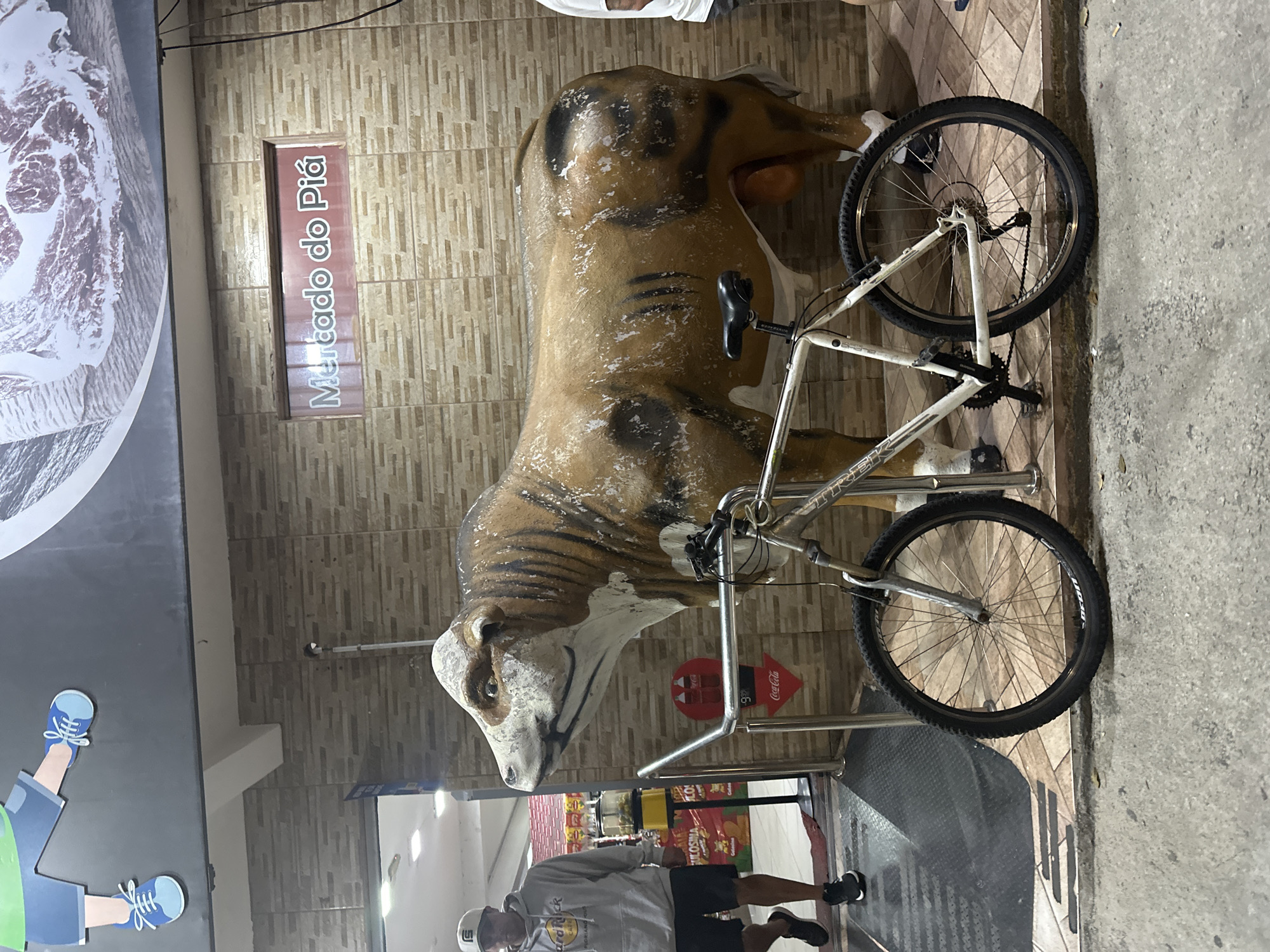 The scene depicts a life-size, painted cow sculpture situated in front of the entrance of Mercado do Piá, a marketplace in Florianópolis, Brazil. A bicycle leans against the cow. A man wearing a Hard Rock Cafe hoodie, shorts, and a baseball cap stands near the entrance. Inside the market, shelves are stocked with goods. A Coca-Cola advertisement is visible on the wall behind the cow. The flooring is tiled. A cartoon image is on the wall to the left.