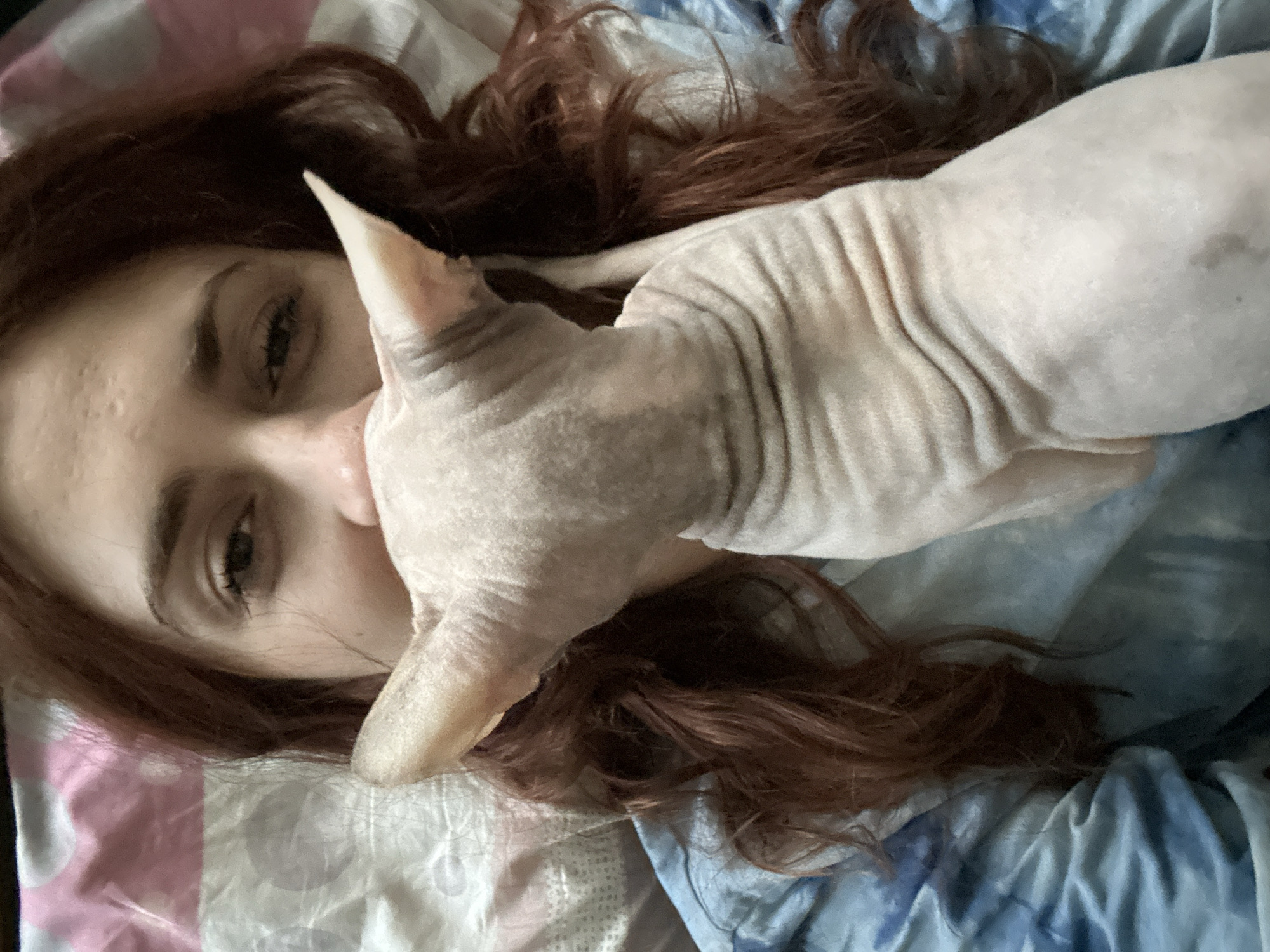 The image captures a close-up, overhead view of a person and a Sphynx cat in bed. The person, with reddish-brown hair, is partially obscured by the cat, which is nuzzling into their face. The cat's pale, wrinkled skin is prominent. The background consists of bedding with pink and white striped patterns and a blue tie-dye pattern. There are no discernible landmarks or features that would indicate a specific location within the city of Togliatti, Russia.
