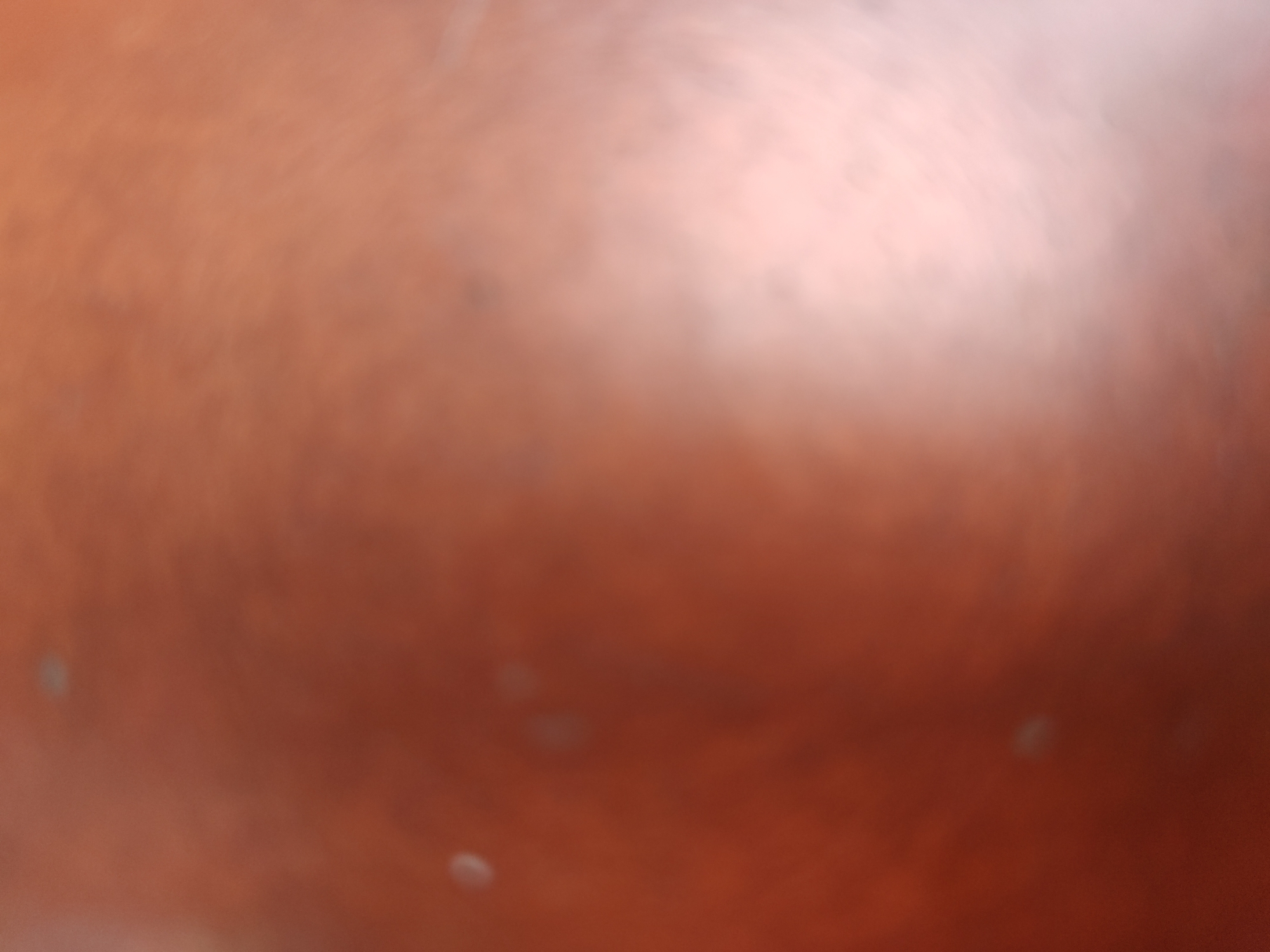 The image shows a blurry, out-of-focus background gradient of brown and reddish-brown hues. It appears to be a close-up of a surface or object with uneven lighting. There are no discernible subjects, objects, actions, interactions, or people present. The environment is undefined due to the lack of detail. There is no mention of any city or location.