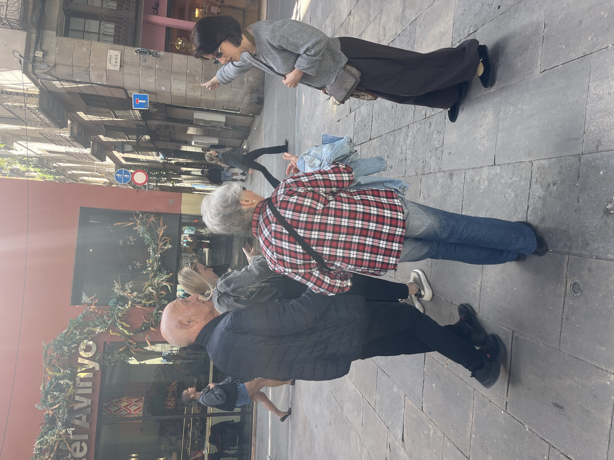 The image captures a daytime street scene in Barcelona, Spain, centered around three individuals on a stone-paved sidewalk. A woman with dark, short hair, wearing sunglasses, a gray sweater, and a long dark skirt, points forward with her right hand. She carries a small crossbody bag. Facing her, a woman with gray hair wears a red and white plaid shirt, blue jeans, and has a denim jacket draped over her left arm. Beside the woman in plaid, a bald man in a dark puffer jacket and black pants observes.
These individuals appear to be engaged in a conversation or receiving directions from the pointing woman. In the background, other blurred people walk along the street, which is flanked by multi-story buildings typical of urban European architecture, featuring windows and balconies. Storefronts line the ground level, one of which displays decorative foliage and partial text reading "er Avinyo".
Notable details include street signs: one is a stone plaque identifying "CARRER D'AVINYÓ", confirming the location as Avinyó Street. Below it, a blue square sign with a white horizontal bar indicates 'no entry' for vehicles, and further down, a blue circular sign with white figures and a red circular sign with a white horizontal bar are visible. The bright sunlight casts shadows on the pavement, indicating a clear, sunny day. The number "16" is also visible on a building facade.