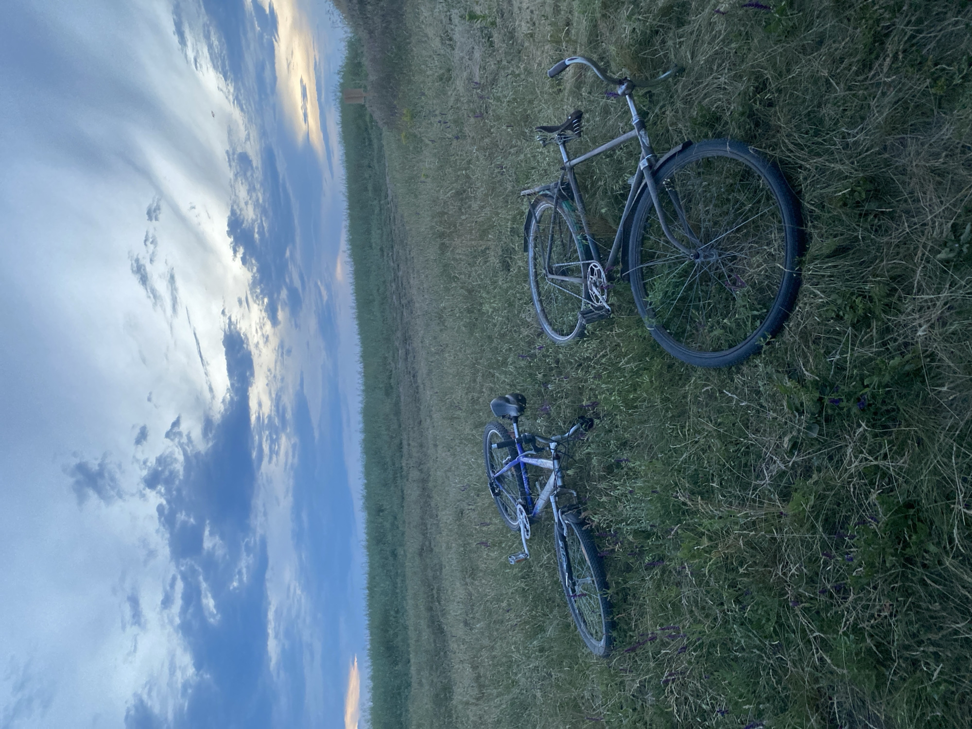 The image depicts an outdoor scene in Ustyvytsia, Ukraine, at dusk or early evening. The foreground and midground are dominated by a field of unkempt green and tan grass, interspersed with small purple wildflowers. Two bicycles are lying horizontally on the grass.
The bicycle in the left-center is a modern mountain bike, primarily silver and blue, with black tires and seat, resting on its right side. Its handlebars and front wheel are oriented towards the upper left.
The bicycle in the lower-right is an older model, possibly a road or cruiser style, dark in color (appears grey or dark green), also resting on its right side. Its handlebars are curved upwards, and the front wheel is oriented towards the lower left.
In the background, a gently rolling hill covered in similar tall grass extends across the frame. Towards the right side of the background, a small, dark wooden post or marker is visible.
The sky occupies the upper half of the image, displaying a gradient of light blue, grey, and white clouds. A strip of lighter, yellowish-orange light, indicative of a sunset, is visible on the horizon towards the center-right and a smaller patch on the far left. The clouds are varied, ranging from dense, darker formations in the center to thinner, streaky patterns higher up and to the right. The overall light suggests diminishing daylight. No individuals are present in the scene.