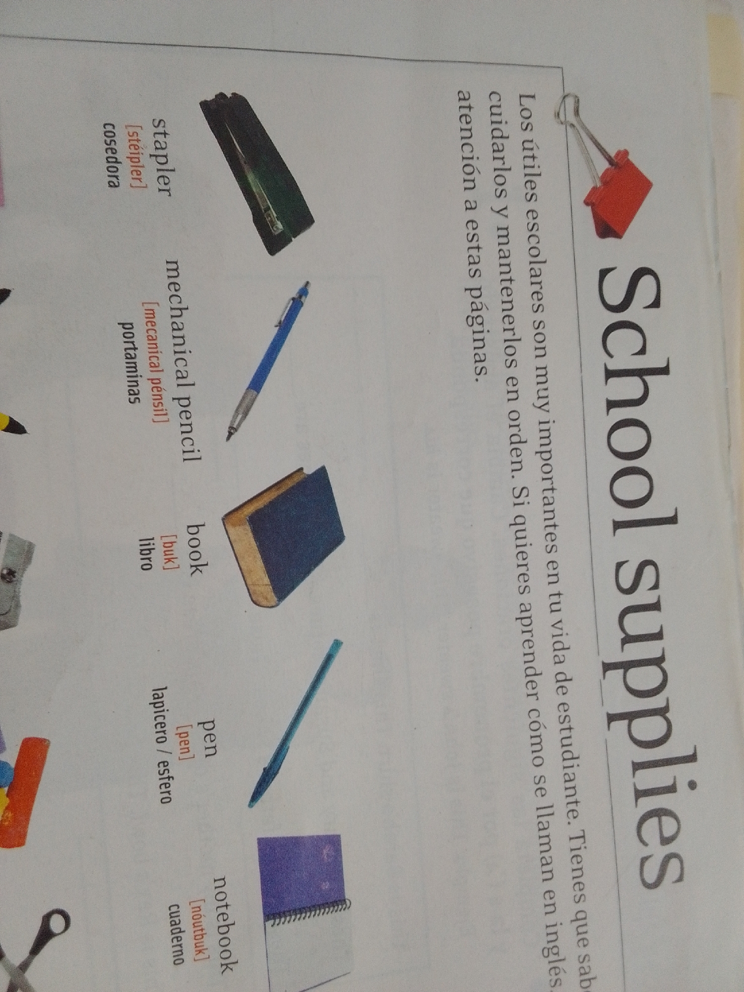 This media file is a photograph of an open book page displaying an educational illustration. The page features various school supplies, each labeled in both English and Spanish. The items pictured include a stapler, a mechanical pencil, a book, a pen, and a notebook. The English words are written vertically in large, bold font as the title "School supplies," with smaller text below providing a Spanish translation and a brief explanatory paragraph in Spanish. The Spanish text talks about the importance of school supplies, keeping them in order, and learning their names in English. The background of the image is a slightly textured, off-white paper. There are no people or specific setting details visible beyond the book page itself. The lighting suggests an indoor environment, possibly a classroom or a home study area, with no indication of time of day or weather. The overall tone is educational and informative.