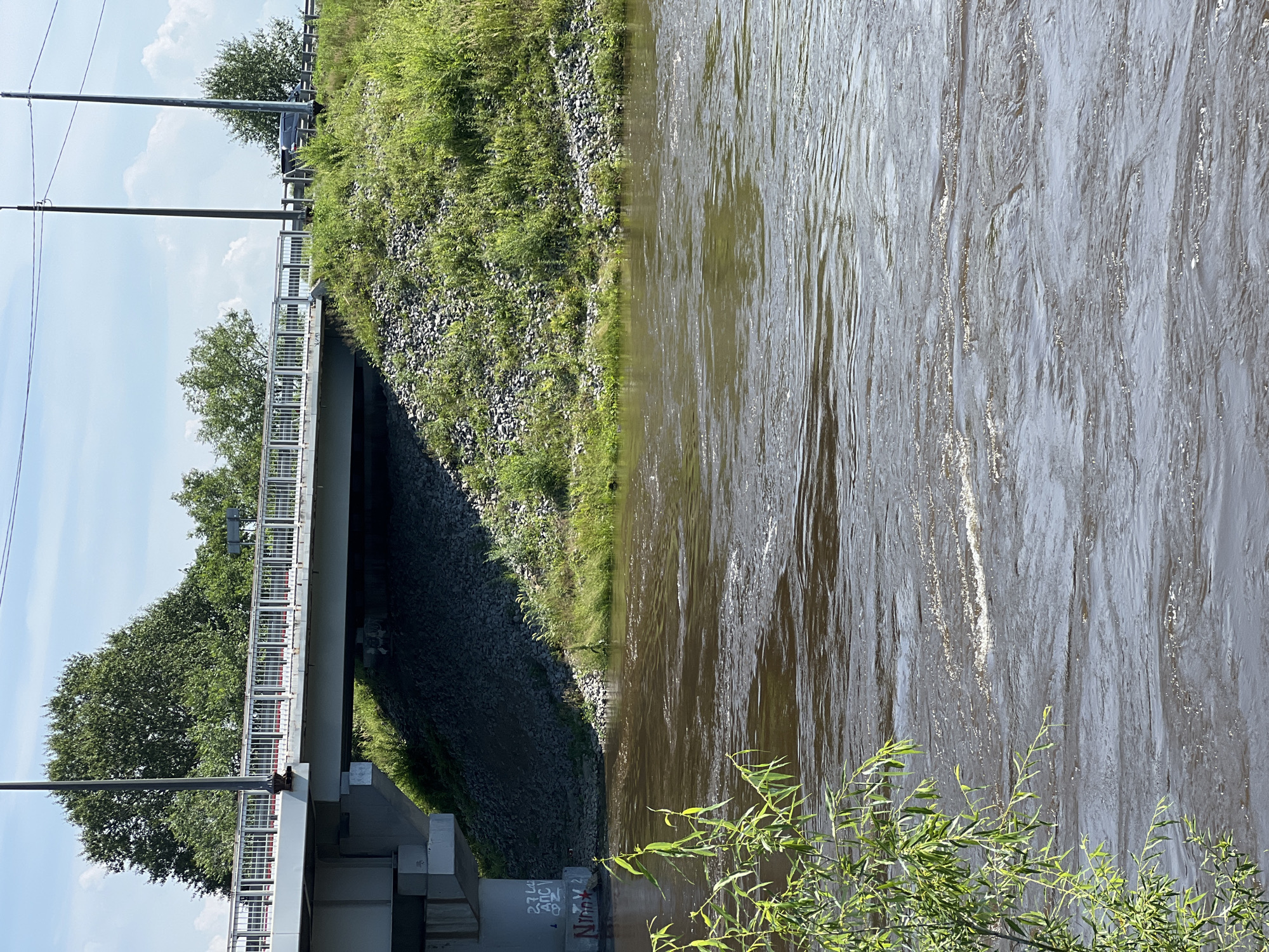 The image shows a river flowing under a bridge. The bridge appears to be made of concrete and metal, with a railing along the top. There are trees and grass on the embankment leading up to the bridge. The water in the river is dark brown and appears to be flowing rapidly, with some whitecaps visible. In the foreground, there is a plant with long, green leaves hanging over the water. The sky is blue with a few white clouds. The location is the city of Khor, Russia.