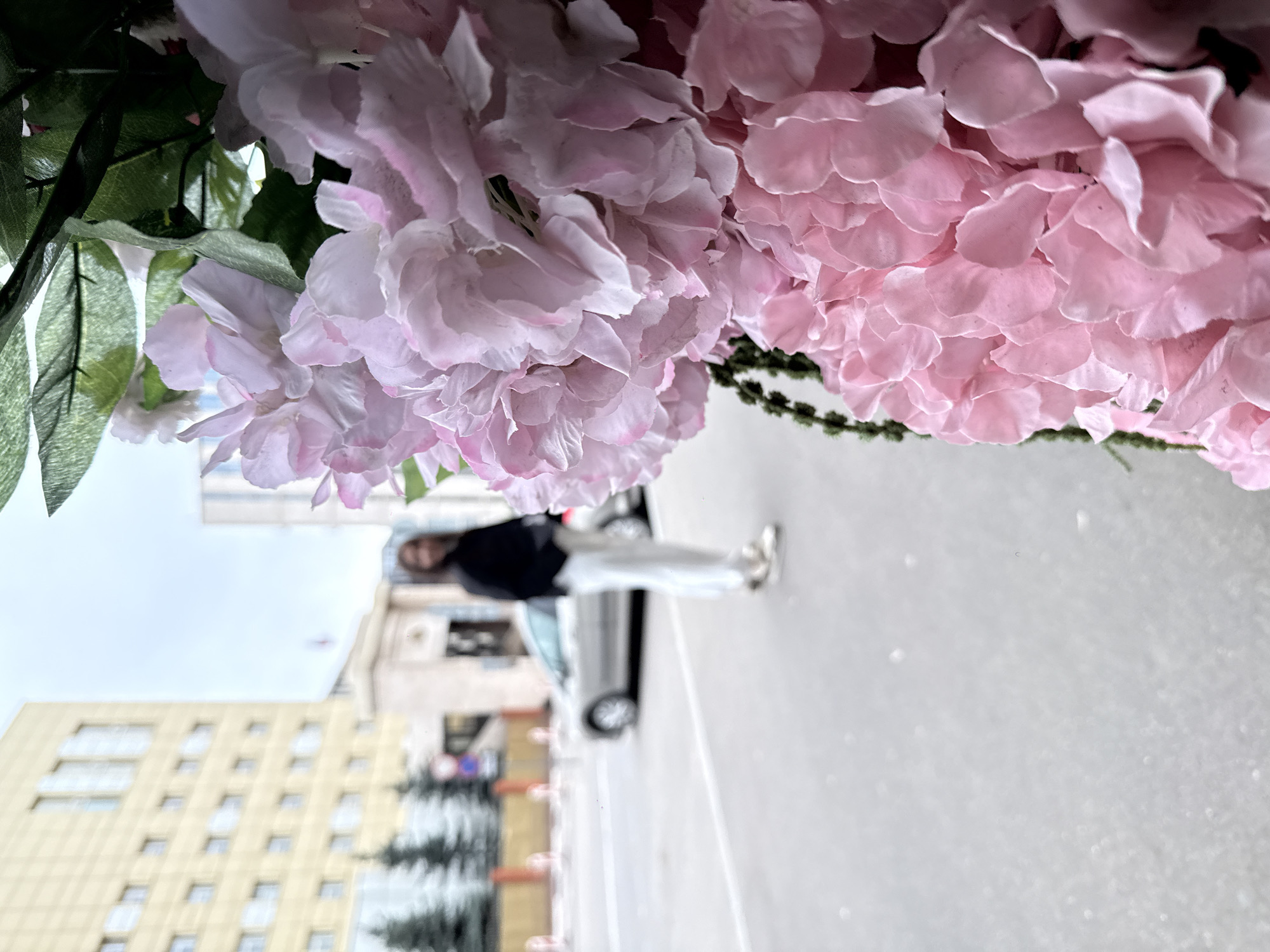 A low-angle view is captured through a foreground of pink and white flowers, partially obscuring the scene. Behind the flowers, a woman in dark clothing and white pants walks along a grey, wet street. A silver-colored car is parked next to her. In the background, a large, tan-colored building with multiple windows is visible, along with bare trees. The scene is overcast. The location is in Moscow, Russia.