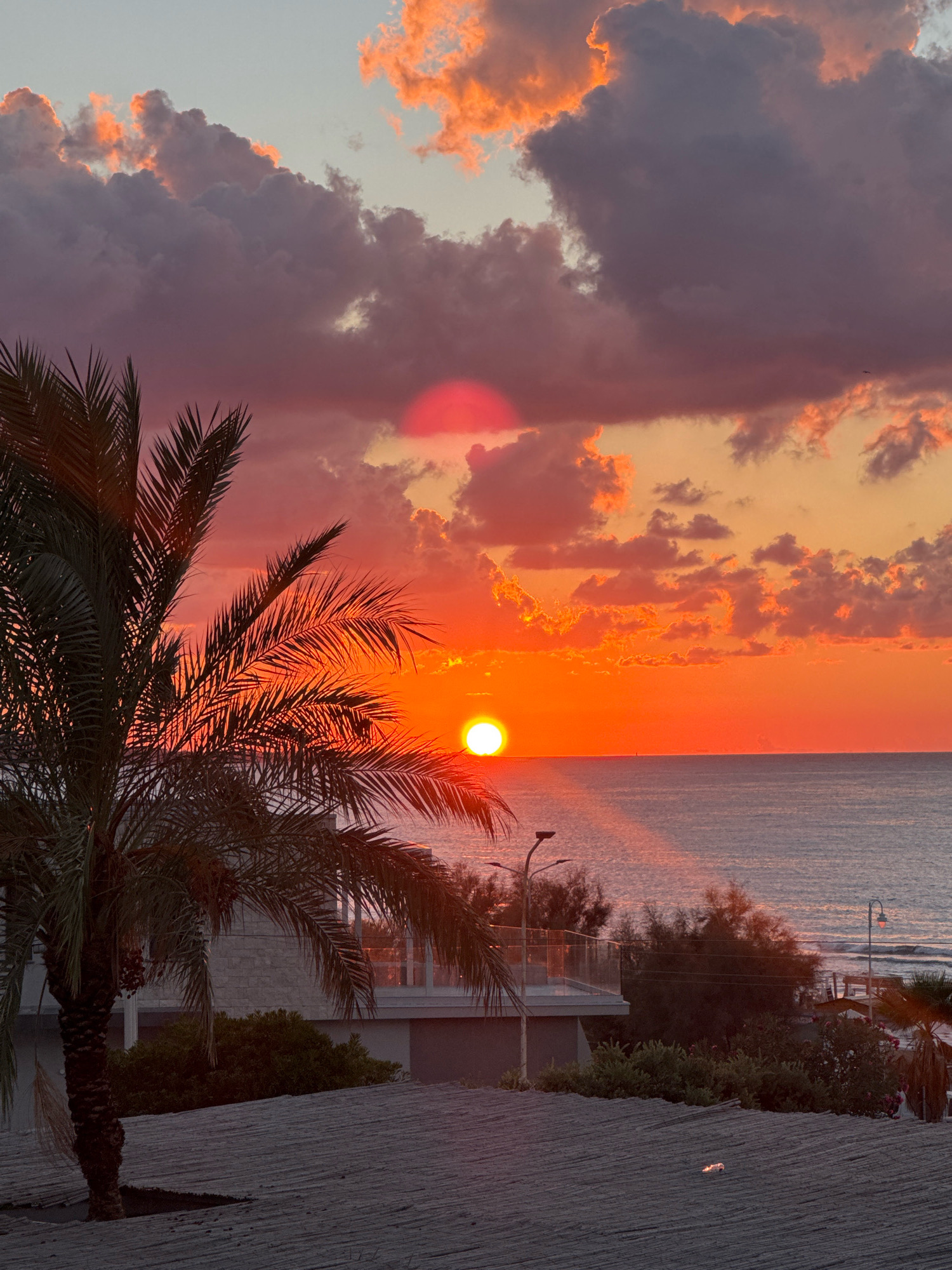 A sunset is captured over the sea in Capaci, Italy. The sun is low on the horizon, casting a vibrant orange glow across the sky and water. Clouds are scattered throughout the sky, tinged with pink and orange from the setting sun. A palm tree is silhouetted against the sky in the foreground, with its fronds extending across the frame. In the middle ground, there is a building with a balcony and some vegetation. The sea is calm, with gentle waves lapping at the shore. The overall scene is one of tranquility and natural beauty.