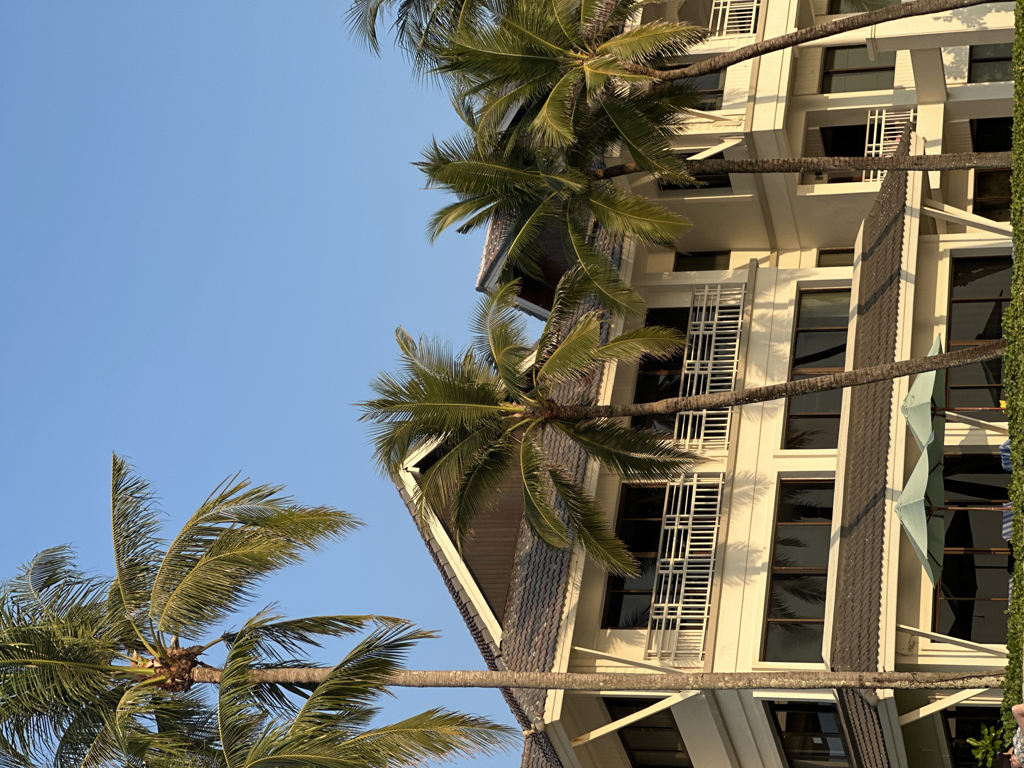 The image displays a multi-story building, likely a resort or hotel, situated in Choeng Thale, Thailand, under a clear, bright blue sky. The structure features a light cream-colored facade with dark-tiled, gabled roofs. At least three stories are visible, characterized by dark-tinted windows reflecting surrounding palm fronds and the sky. Multiple balconies equipped with white, geometrically patterned railings are present across the building's face. Numerous tall palm trees, with vibrant green fronds, frame and partially obscure the building, their trunks prominent in the foreground and mid-ground. The lighting suggests late afternoon, casting warm, golden light on the building and foliage. In the lower-left corner, a person is partially visible, lying down on what appears to be a beach or lawn area, wearing a patterned garment. Two light green, opened beach umbrellas are situated in the lower-center foreground, behind which is a dense layer of low-lying green vegetation. Striped beach towels are faintly discernible beneath the umbrellas.