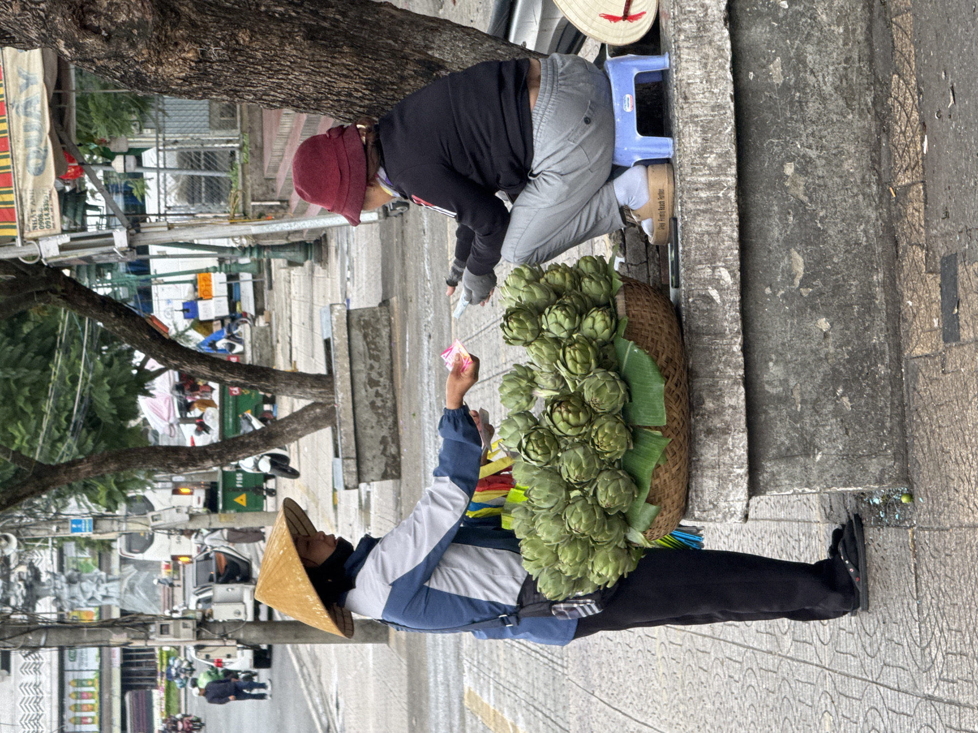 The image captures a roadside transaction in what appears to be an urban or semi-urban setting, likely in Da Lat, Vietnam. Two individuals are central to the scene.
On the left, a person stands, wearing a traditional Vietnamese conical hat (nón lá), a blue, white, and grey jacket, and dark pants. This individual holds a pink bill in one hand, seemingly receiving money. Beside them, on the ground, is a large woven basket filled with numerous green artichokes, interspersed with banana leaves.
On the right, another person is crouched on a small blue plastic stool. This individual wears a red cap, a black long-sleeved shirt, and grey pants, and appears to be exchanging money with the first person. The sole of one of their shoes, which is light brown, has some visible text, possibly "Stay Famili Beach Further."
The background shows a bustling street environment. Large tree trunks frame the foreground, with other trees and foliage visible further back. Several vehicles, including cars and motorbikes, can be seen, indicating a busy thoroughfare. Utility poles, wires, and various buildings line the street. A partially visible banner on the far left shows the text "NHAT ANH" and phone numbers like "0998" and "0914". The overall scene suggests a daytime setting, possibly under an overcast sky or in a shaded area, as there are no harsh shadows. The interaction appears to be a routine commercial exchange between a vendor and a customer.