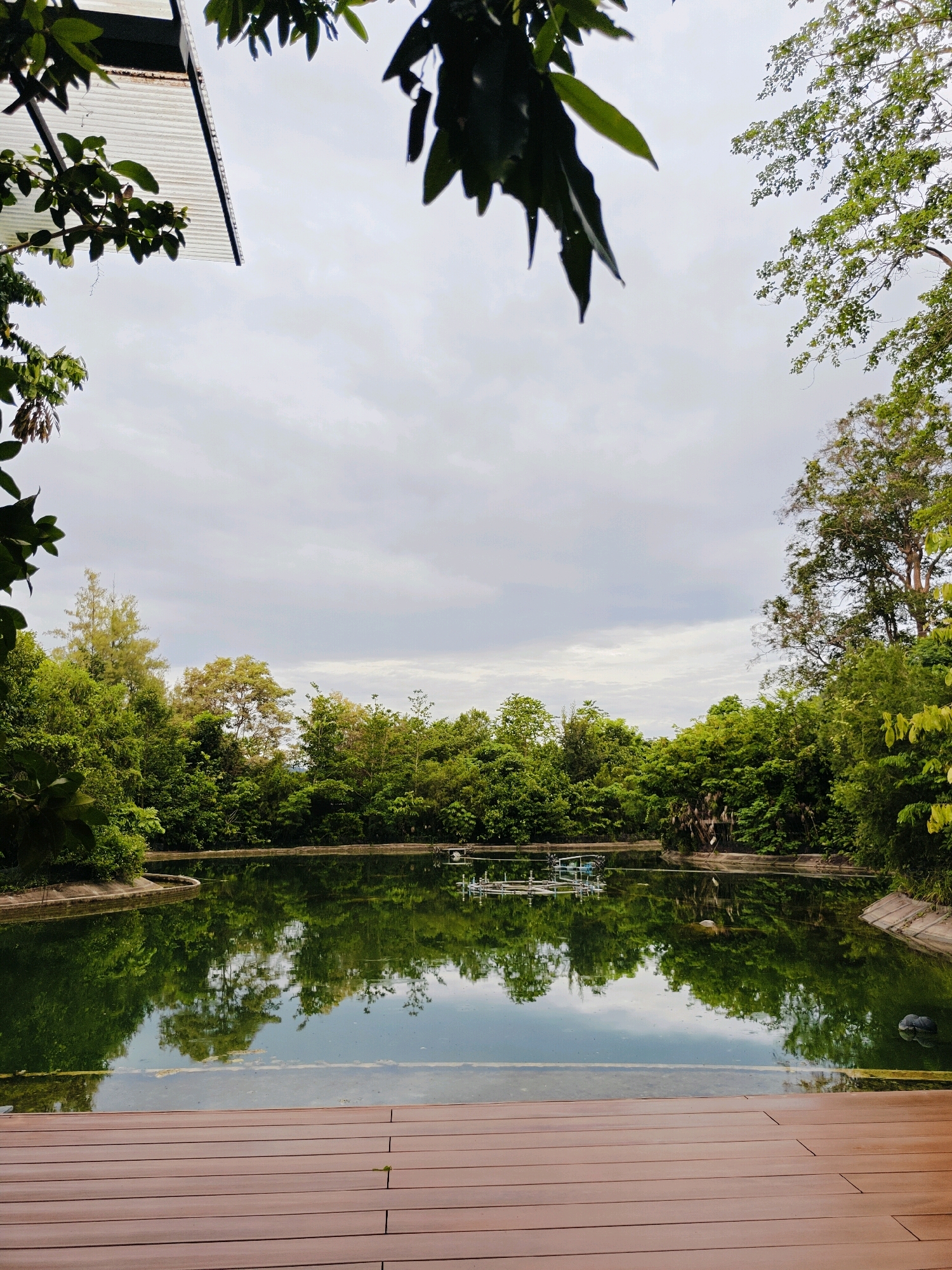 A reflective pond is surrounded by lush green trees under a cloudy sky. In the foreground, a wooden deck is visible. The pond's surface mirrors the dense foliage and the overcast sky, creating a symmetrical composition. The trees form a verdant wall around the water, with varying shades of green indicating different species and light conditions. In the distance, some structures, possibly part of a water aeration system, are visible on the pond. The overall scene evokes a sense of tranquility and natural beauty, suggesting a park or a botanical garden setting in Mu Si, Thailand.