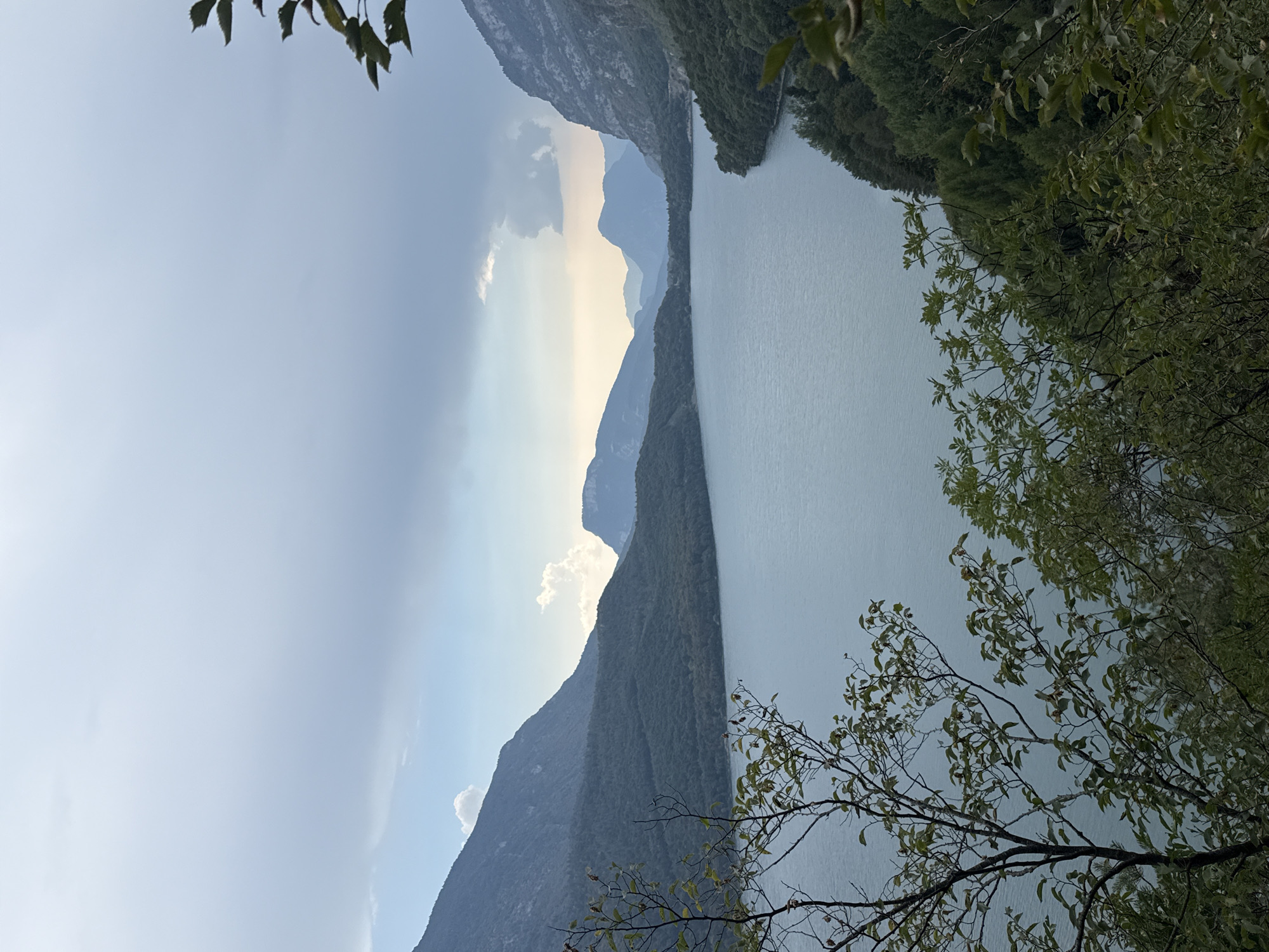 A serene, high-angle landscape shot captures a tranquil lake nestled between imposing, tree-covered mountains under a cloudy sky. The water, a muted blue-grey, reflects the soft light of the overcast day. The mountains, varying in height and covered in dense greenery, frame the lake on both sides, with their peaks fading into the hazy distance. The foreground is dominated by the branches of a deciduous tree, its leaves rendered in soft greens and browns, partially obscuring the view. The scene evokes a sense of peaceful isolation and natural beauty in a remote, mountainous region of Italy, though the specific city is not identifiable from the image.