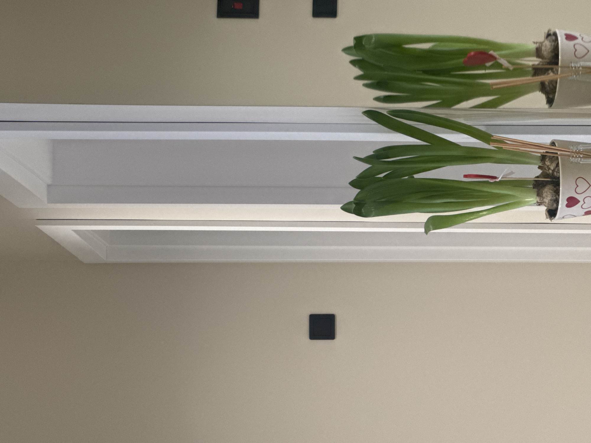 The image shows a wall with a light fixture that has a mirrored surface. A potted plant is placed on the fixture, and its reflection is visible. The wall is light beige and has two electrical outlets or switches in the upper part and one in the lower part. The plant pot has a white background with red hearts drawn on it. The plant has green leaves and brown sticks sticking out of the soil. There is no evidence to associate this image with the city of Burgas, Bulgaria.