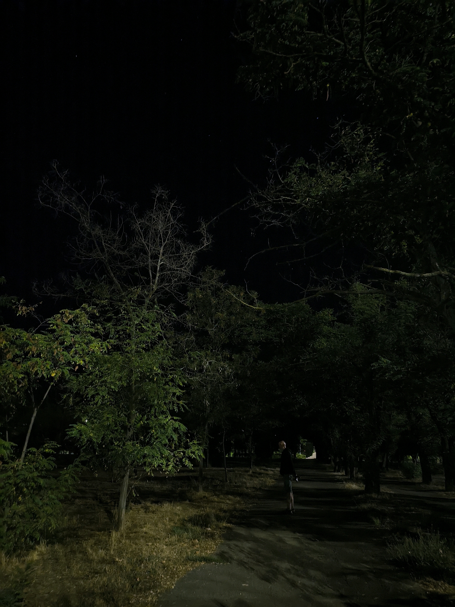 The image depicts a dark, tree-lined path in a park, possibly at night. A lone individual, seen from behind, stands on the path, facing away from the camera and towards a distant, brighter area. The person appears to be wearing a dark top and lighter-colored bottoms. The surrounding environment is predominantly dark, with the silhouettes of trees and foliage dominating the scene. Some dry grass and sparsely lit ground are visible along the path. The sky above is black with a few faint celestial bodies visible. The overall impression is one of a quiet, somewhat solitary scene within a natural setting within the city.