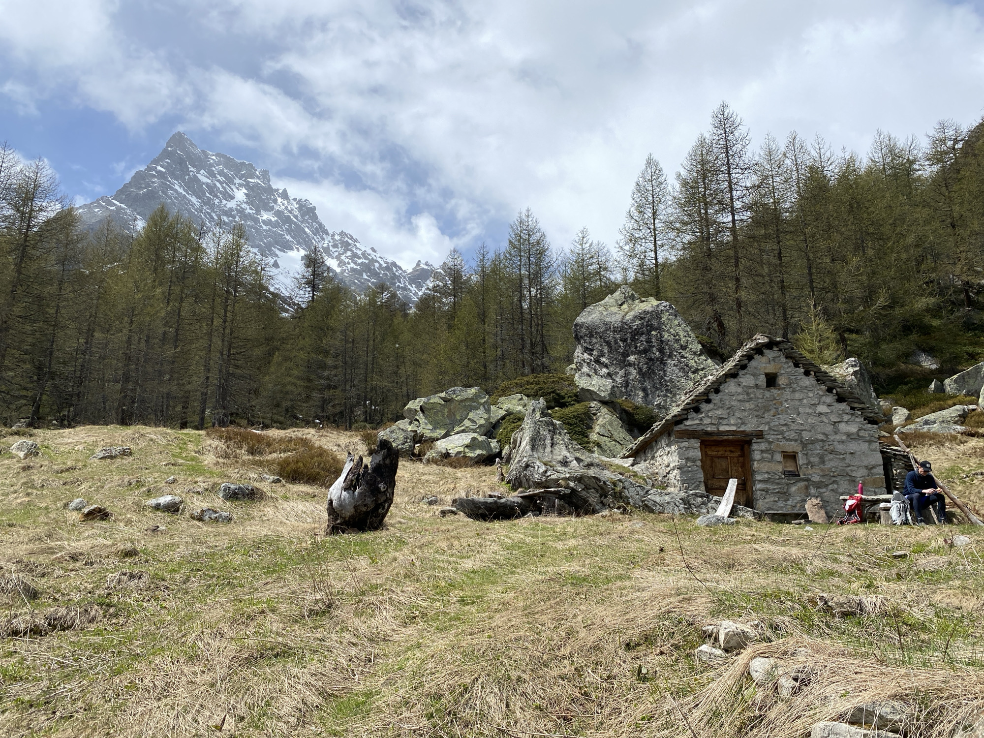 The image presents a mountainous landscape, likely in the vicinity of Baceno, Italy, given the Alpine character of the terrain. Dominating the background is a snow-capped mountain peak partially obscured by clouds. A dense forest of coniferous trees, their leaves tinged with yellow suggesting early spring, covers the lower slopes.
In the foreground is a grassy meadow interspersed with rocks and boulders. A weathered tree stump stands out on the left. Further to the right, a small stone hut with a wooden door is nestled against a large rock formation. Beside the hut, two people are seated at a wooden table, possibly resting or eating. A red water bottle and backpacks are placed near them. The overall impression is that of a remote, natural setting in a mountainous region.