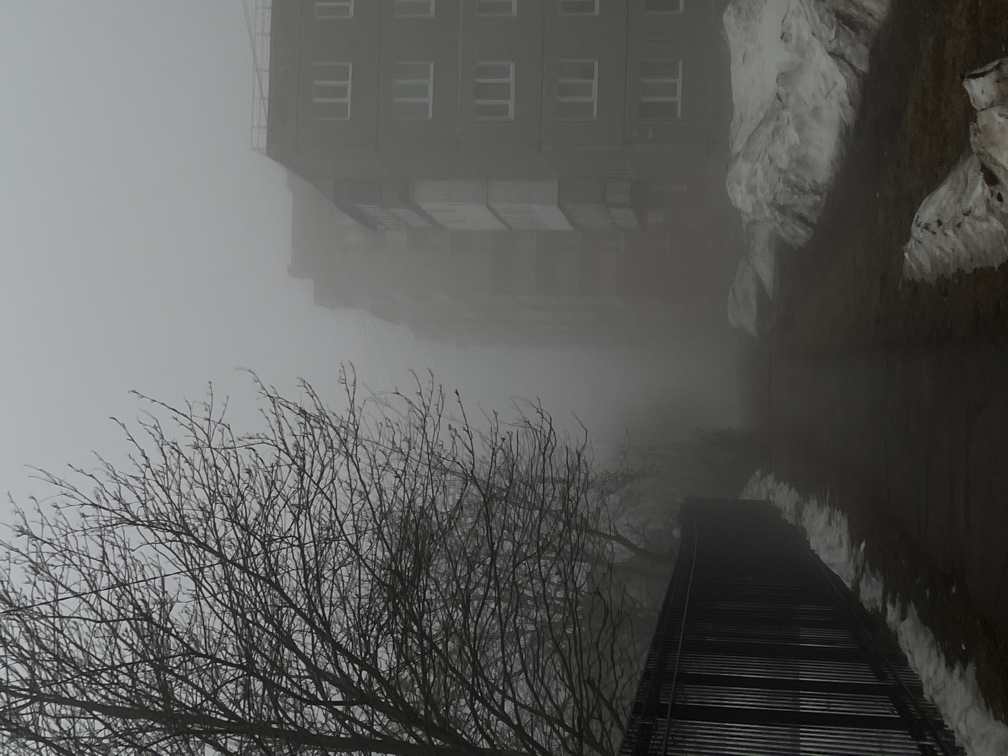 A muted, overcast scene in Neftekamsk, Russia. Bare branches dominate the lower left quadrant, contrasting with the indistinct, tall building in the background, obscured by heavy fog. The building appears to have multiple floors, with visible windows. A pedestrian walkway with snow alongside leads away from the bottom of the frame towards the building, partially obscuring the view into the dense fog.