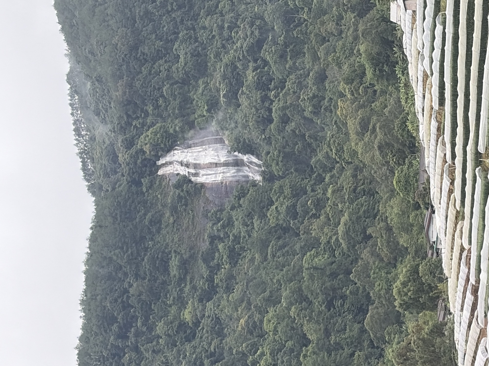 The image depicts a lush, green mountainside in Ban Ang Ka Noi, Thailand, with a prominent waterfall cascading down a rocky cliff face. The foreground is dominated by rows of white greenhouses, likely used for agricultural purposes, stretching across the lower portion of the frame. The mountain slopes are densely covered with various shades of green trees, creating a textured canopy that obscures much of the terrain. The sky is overcast and light, contributing to a soft, diffused light throughout the scene. No people are visible in the image.