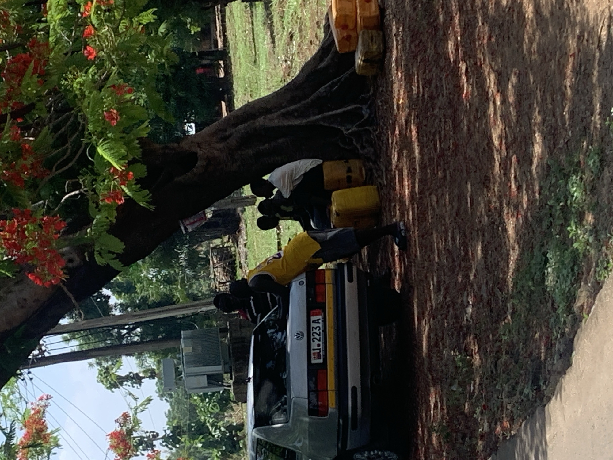 The image shows two men standing near a parked silver Volkswagen car. The car's license plate reads "J.223A." The men appear to be working on or interacting with the car. They are positioned next to a large tree with exposed roots and red flowers. Several yellow jerrycans are stacked near the tree. The scene appears to be outdoors, possibly along a roadside in Kukum, Nigeria. The location is also suggested by the scenery and license plate on the Volkswagen car.