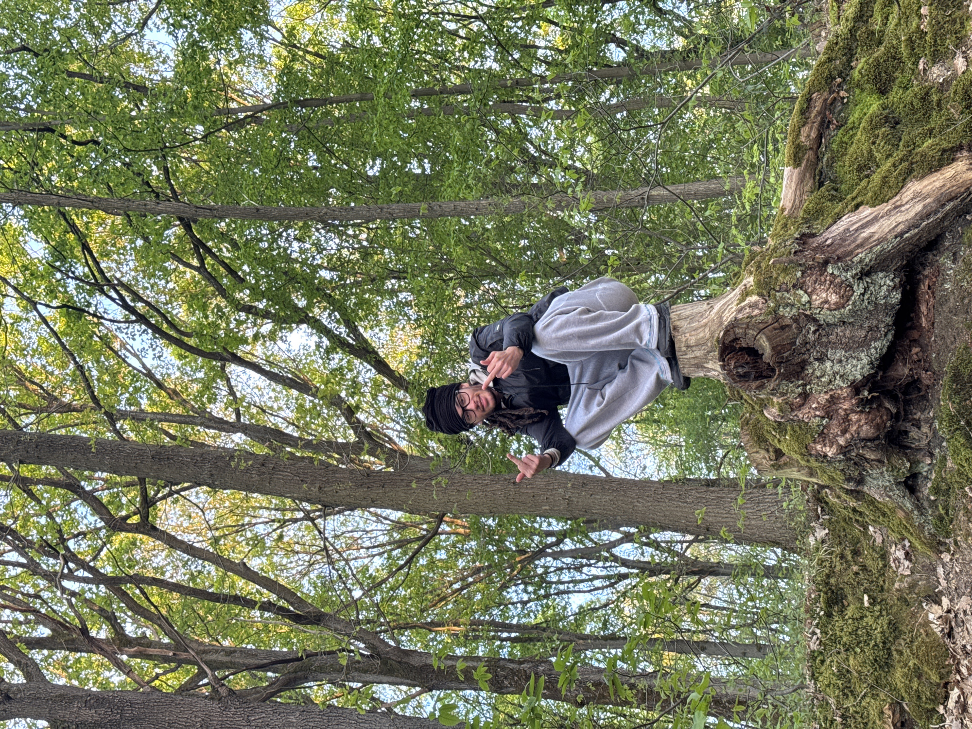 A young person is featured in an outdoor setting in Bures-sur-Yvette, France, seated on a large, moss-covered tree branch or trunk. The individual, appearing to be a male, wears a black beanie or headwrap, glasses, a black jacket, and grey sweatpants. Dreadlocks are visible beneath the headwear. He looks directly towards the viewer with a slight smile and makes a playful hand gesture with both hands, extending his index fingers upwards. The background is dominated by a dense canopy of trees with lush green leaves, characteristic of spring or summer foliage. Bright, natural light filters through the leaves, indicating a clear daytime scene, likely during the late morning or afternoon. The thick, gnarled, and moss-laden bark of the tree suggests an established, mature tree in a natural environment such as a park or forest. The overall mood conveyed is relaxed and casual. There is no visible text in the image.