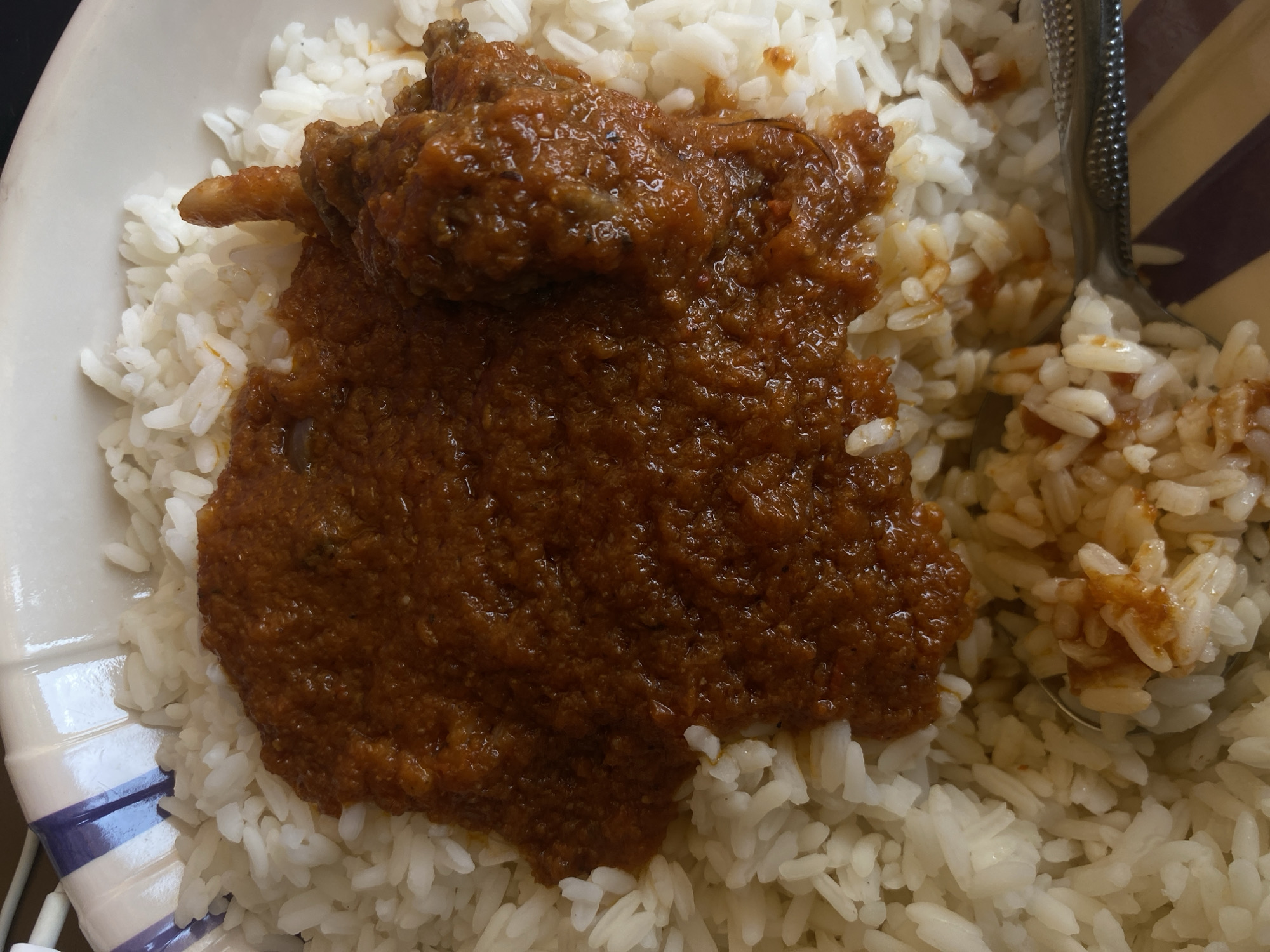 A top-down, close-up shot shows a plate of white rice topped with a brown stew, possibly containing meat. A metal spoon is partially visible on the right side of the plate. The plate has a blue and white rim. The location, Barden Yana, Nigeria, is not discernible from the image alone. No people, actions, or interactions are visible.