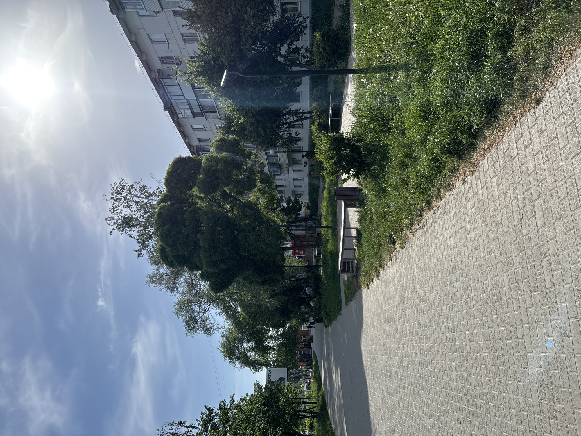 The image depicts a street scene in what is likely the city of Chaikovsky, Russia, based on the style of architecture and general environment. A wide, gray-bricked walkway stretches along the right side of the frame. Adjacent to the walkway is a strip of green grass, interspersed with benches and a modern street lamp. Trees line the side of the walkway opposite the grass strip. In the background, a multi-story, Soviet-era apartment building can be seen. A few people are visible on the walkway, under the trees. The sky is blue with some wispy clouds, and the sun is bright, casting strong shadows.