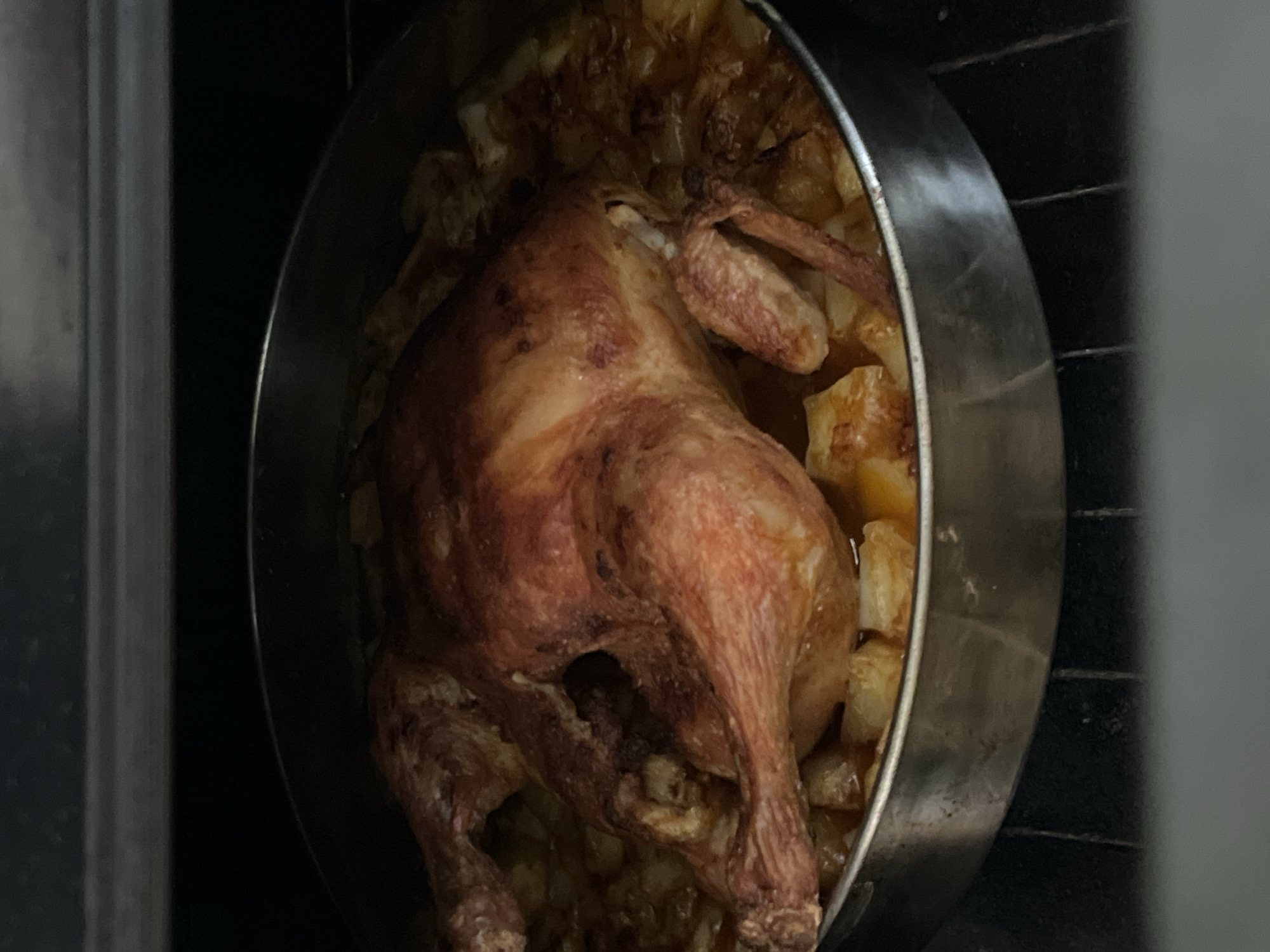 A cooked chicken is visible inside a round metal pan surrounded by roasted potatoes. The pan is likely inside an oven, given the dark, enclosed environment. The location in the city of Burgas, Bulgaria, cannot be determined from this single image.