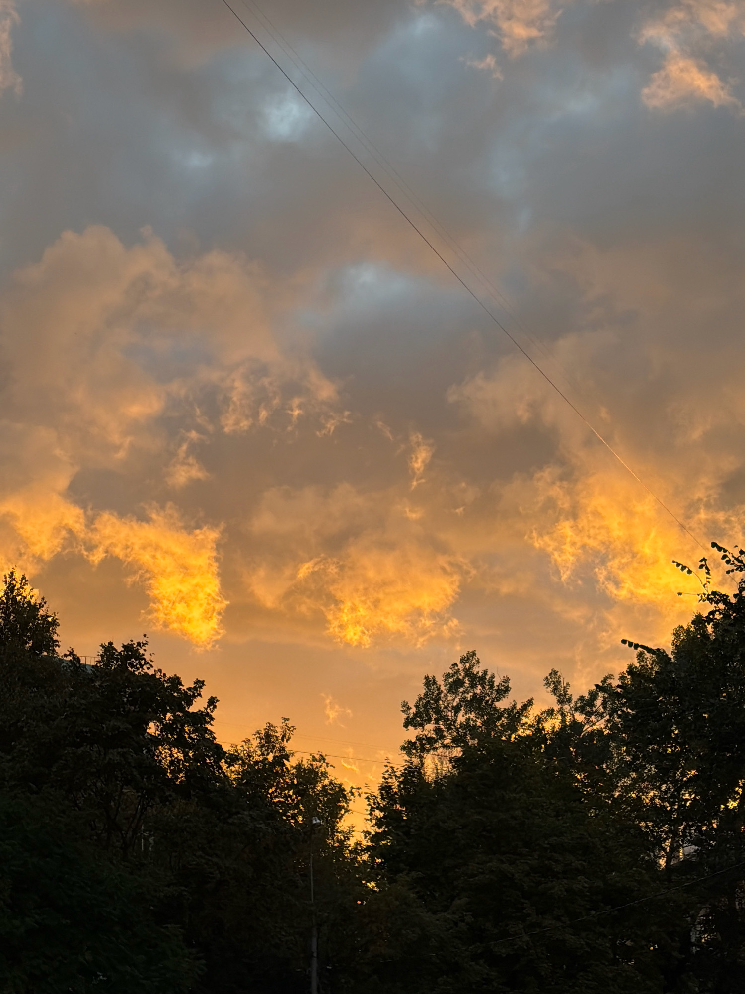 The image depicts a sunset over a city skyline, likely in Khimki, Russia, given the information provided. The sky is filled with dramatic clouds, illuminated by the setting sun in vibrant shades of orange and yellow. These bright clouds contrast with darker, grey clouds present higher in the sky. Silhouetted against the colorful sky are the dark green tops of trees, which form a dense line across the bottom of the frame. A thin, dark electrical wire stretches diagonally across the upper portion of the sky, adding a man-made element to the natural scene. There are no people or visible animals in the image. The overall impression is a serene yet powerful natural phenomenon occurring within an urban setting.