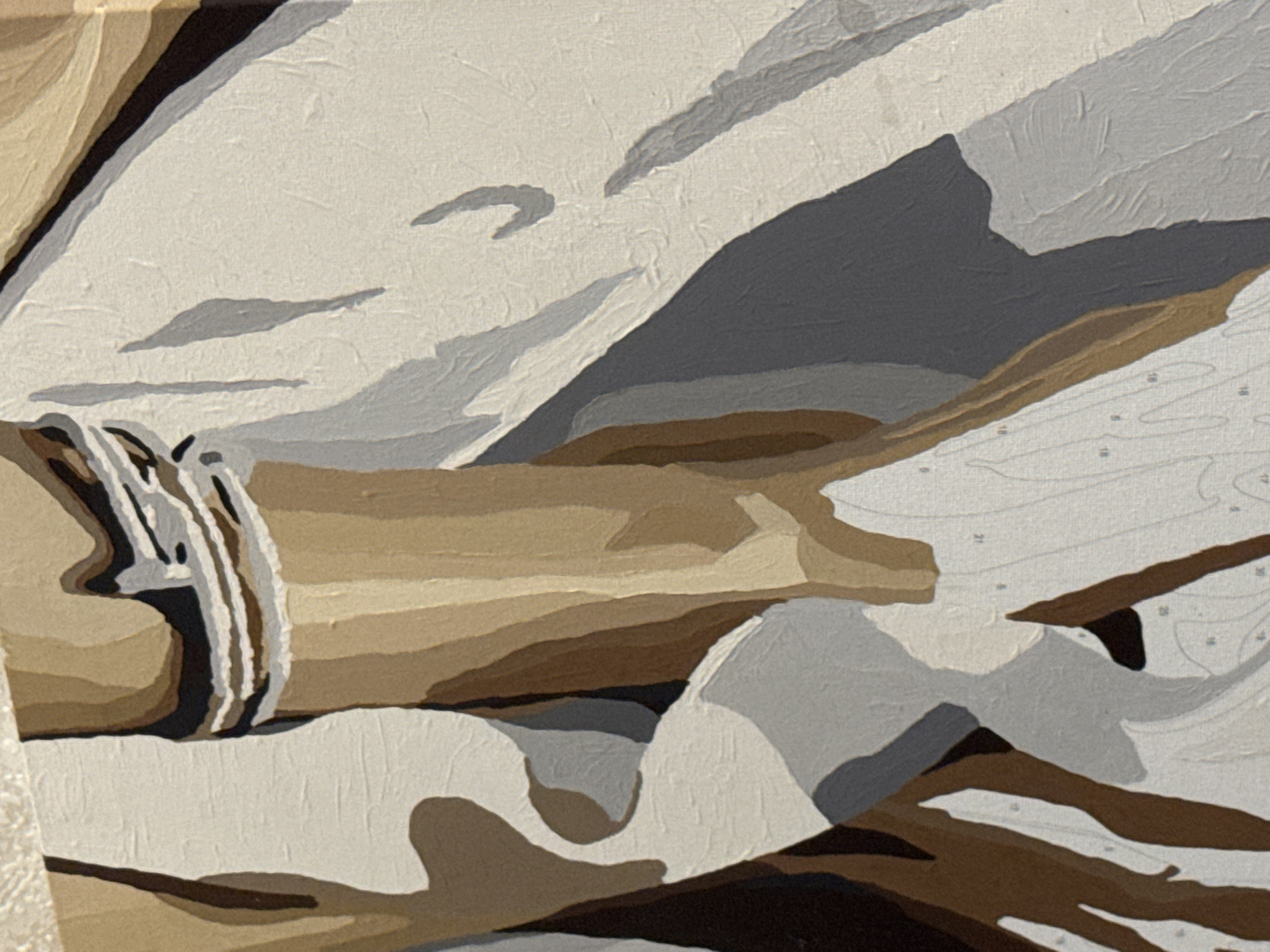 The image is a close-up, abstract painting with distinct sections of color and texture. It features a blend of earthy tones, including browns, tans, and creams, contrasted with grays and black. The painting has a textured surface, suggesting it is an oil or acrylic painting on canvas, possibly a "paint by numbers" piece given the visible lines and faint numbers in some areas. The composition is abstract, with broad strokes and defined shapes that create a sense of form and shadow. There are no recognizable landmarks, people, or specific objects that would indicate a location. Therefore, it is not possible to determine its location in Saratov, Russia, or any other city.