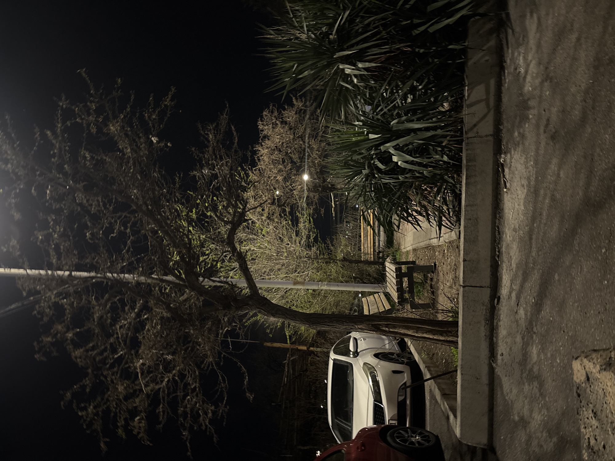 The image is taken at night in Yerevan, Armenia. It features a narrow sidewalk flanked by a concrete wall on the right side and vegetation on the left. Two cars, one white and one red, are parked along the sidewalk. A bare tree with sparse foliage overhangs the cars and sidewalk. A bench sits further back, slightly illuminated by a distant light. The overall lighting is dim, and the environment appears urban with limited pedestrian activity.