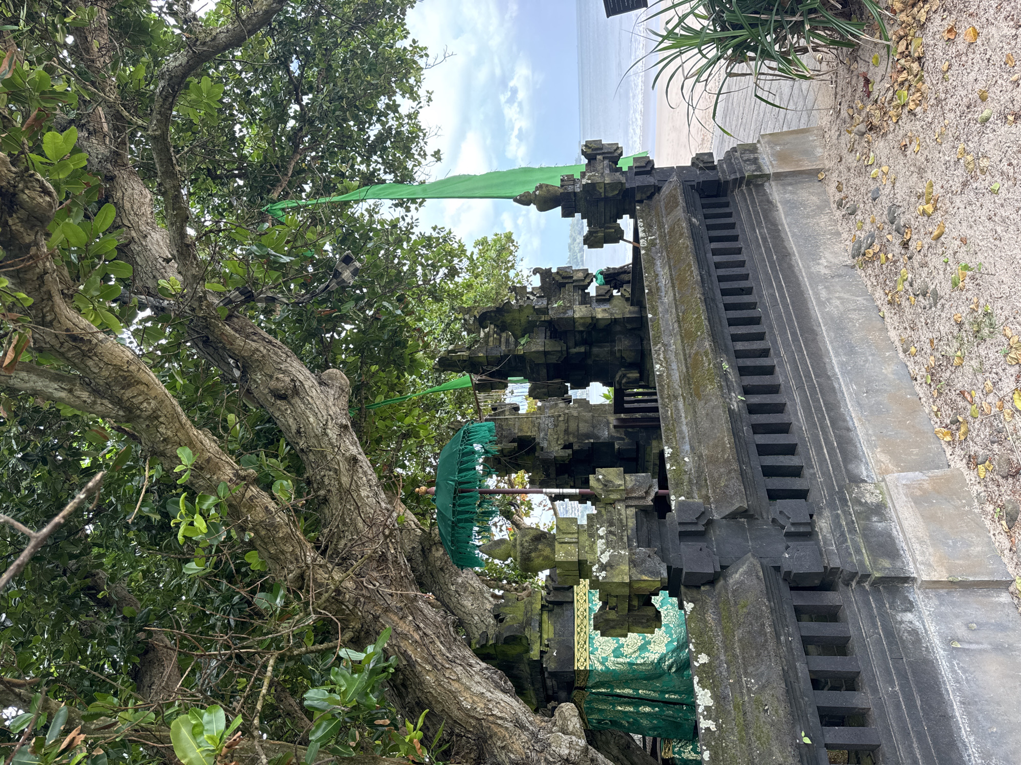 The image shows a traditional Balinese structure, possibly a temple gate or shrine, in Kuta Selatan, Indonesia. The structure is constructed of dark stone and decorated with green fabrics and a green umbrella, indicating its use for religious or ceremonial purposes. A green flag flies atop the structure.
The structure is situated amongst lush greenery, including a large, gnarled tree with exposed roots and branches. In the background, a beach and ocean are visible under a cloudy sky. The environment appears to be a coastal area with sandy soil and scattered vegetation.
There are no people visible in the image. The focus is on the architecture and its integration with the natural landscape.