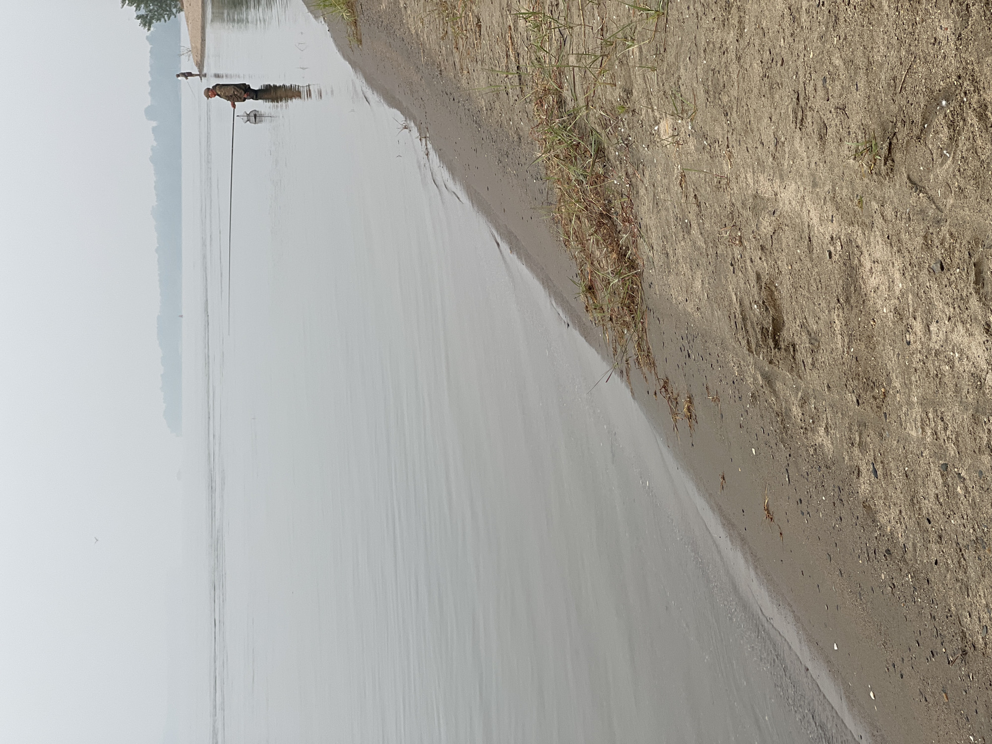 The image depicts a hazy, overcast day at a body of water, likely a river, in Mochishche, Russia. The water's surface is calm with gentle ripples. A sandy shore with sparse vegetation borders the water on the right side of the frame. In the middle ground, two individuals are visible fishing. One person stands in the water, holding a fishing rod that extends across the water. Another person is further back on a sandy peninsula, also engaged in fishing. The horizon is obscured by mist, with faint outlines of trees and landmasses visible in the distance. A small bird is in flight in the upper left portion of the image. The overall atmosphere is serene and natural.