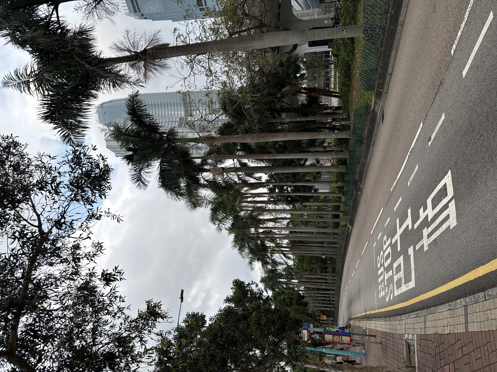 This image depicts a street scene in Hong Kong, China. A road occupies the right side of the frame, marked with the words "BUS 巴士" in Chinese characters. A row of palm trees lines the left side of the road, leading towards a modern skyscraper in the background. The sky is overcast. A variety of trees and street furniture, including bus stop signs, are visible along the sidewalk.