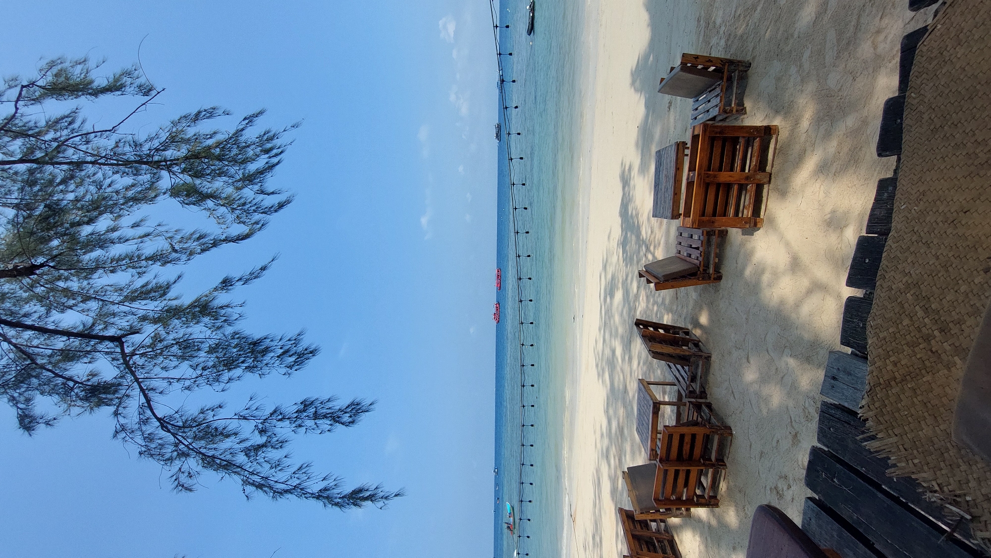 The scene captures a tranquil beach in Koh Tao, Thailand, with clear, light-blue skies. A tree with feathery foliage occupies the left frame, contrasting with the beach and ocean on the right. A row of small boats bobs gently on the water, and the beach is set up with wooden furniture arranged in small seating groups. The wooden furniture appears to be made from repurposed wooden pallets.