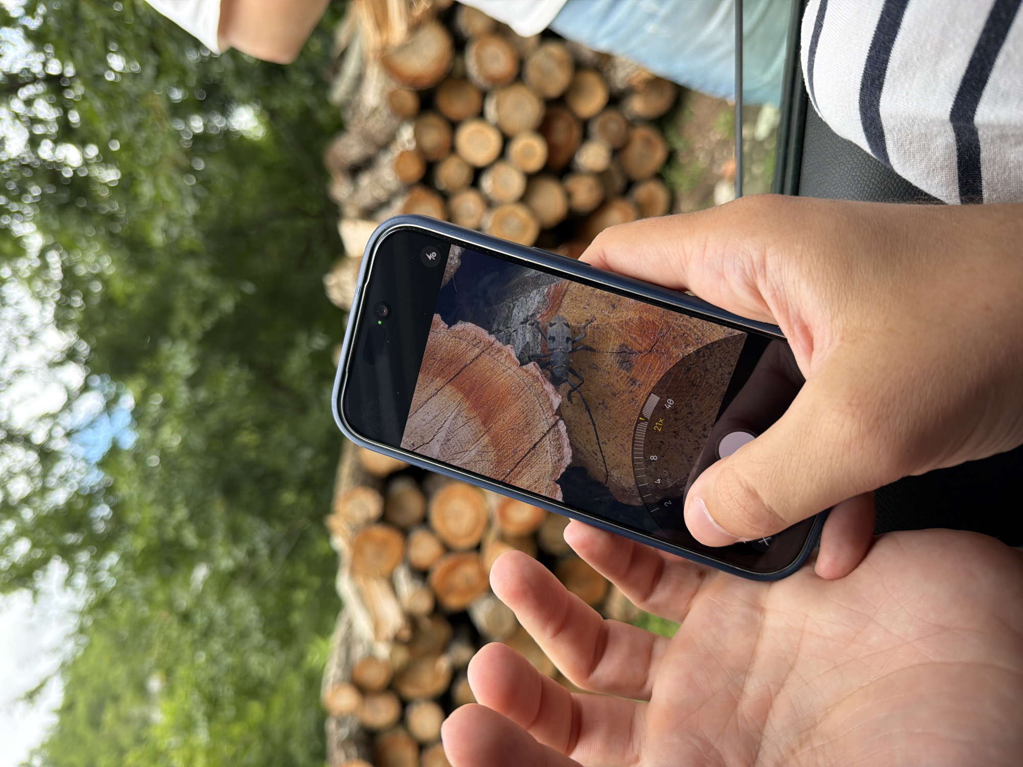 A close-up shot captures a person's hands holding a dark-colored smartphone in an outdoor setting in Dubovik, Montenegro. The phone's screen prominently displays a detailed image of a large, mottled gray and black beetle situated on the textured, cut surface of a tree log, which exhibits distinct growth rings. The phone appears to be in a specialized camera or photo analysis mode, showing interface elements such as a radial dial with numerical markings ("2," "4," "8") and text ("2x," "40"), possibly indicating zoom magnification or a measurement feature. A small green dot, likely a privacy indicator, and an icon resembling a video camera with a diagonal line through it are visible at the top left of the screen.
The background, rendered in soft focus, reveals a large stack of neatly arranged logs or firewood. Lush green foliage and hints of blue sky are visible, indicating a natural, open-air environment. A portion of another person, clad in a white and navy striped shirt, is visible on the right side of the frame, along with what appears to be a part of a vehicle's interior. The overall scene depicts a moment of nature observation or macro photography in a rustic, wooded area.