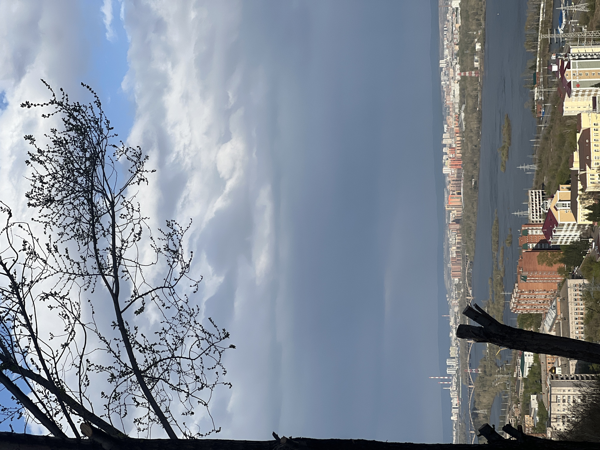 The image captures a view from a high vantage point in Krasnoyarsk, Russia. In the foreground, a bare tree with budding leaves frames the left side. A section of a rough wooden structure, possibly a cut tree trunk or bench, runs along the bottom of the frame.
In the background, a wide river flows through the city. The city itself is a mix of residential buildings, industrial structures (chimneys), and bridges spanning the river. The buildings vary in height, ranging from low-rise houses to mid-rise apartment blocks.
The sky above is cloudy with patches of blue visible. The overall weather appears overcast. The image orientation is vertical, and the city is positioned along the right edge.