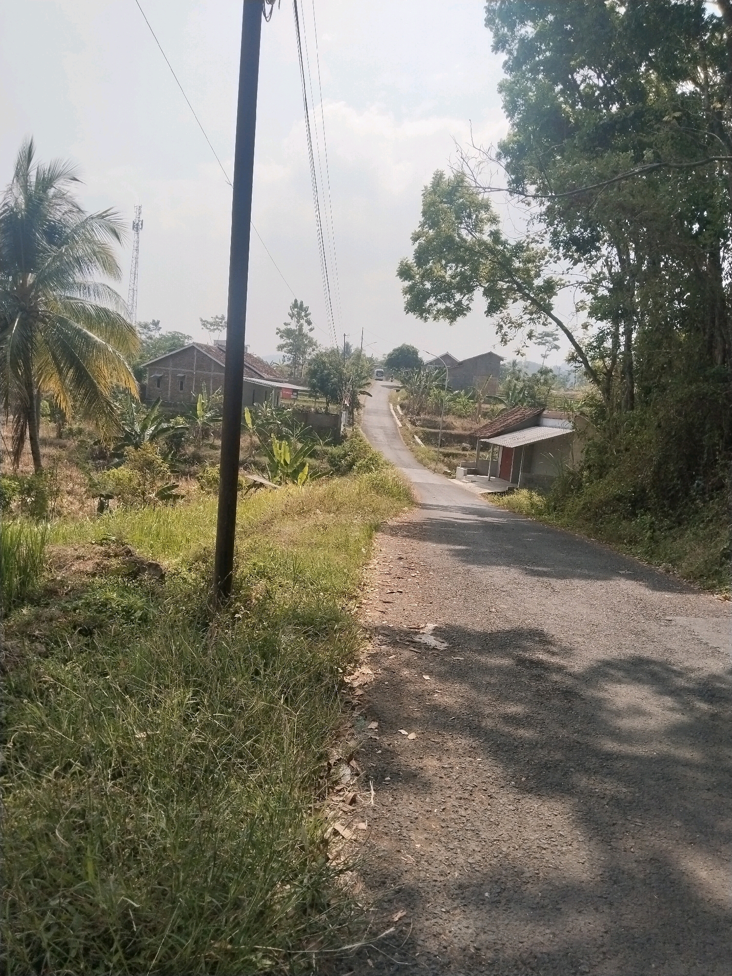 The image depicts a rural scene on a sunny day, likely in the city of Cenggini, Indonesia. A paved, narrow road winds through a landscape dotted with houses and vegetation. On the left side of the road, a tall, dark utility pole stands prominently, with power lines extending across the frame. Beyond the pole, a lush field of tall grass and some dry vegetation is visible, leading towards a house with a brick facade and a red-tiled roof. To the left of this house, several banana plants are growing. Further to the left, a coconut palm tree stands tall. Across the road, on the right side, a smaller, modern-looking structure with a gray roof and a red door is situated near the road. Mature trees with dense foliage line the right side of the road, casting shadows on the asphalt. In the background, a telecommunications tower can be seen in the distance, and the sky is bright and hazy, suggesting a warm climate. The overall impression is of a quiet, rural residential area with signs of everyday life.