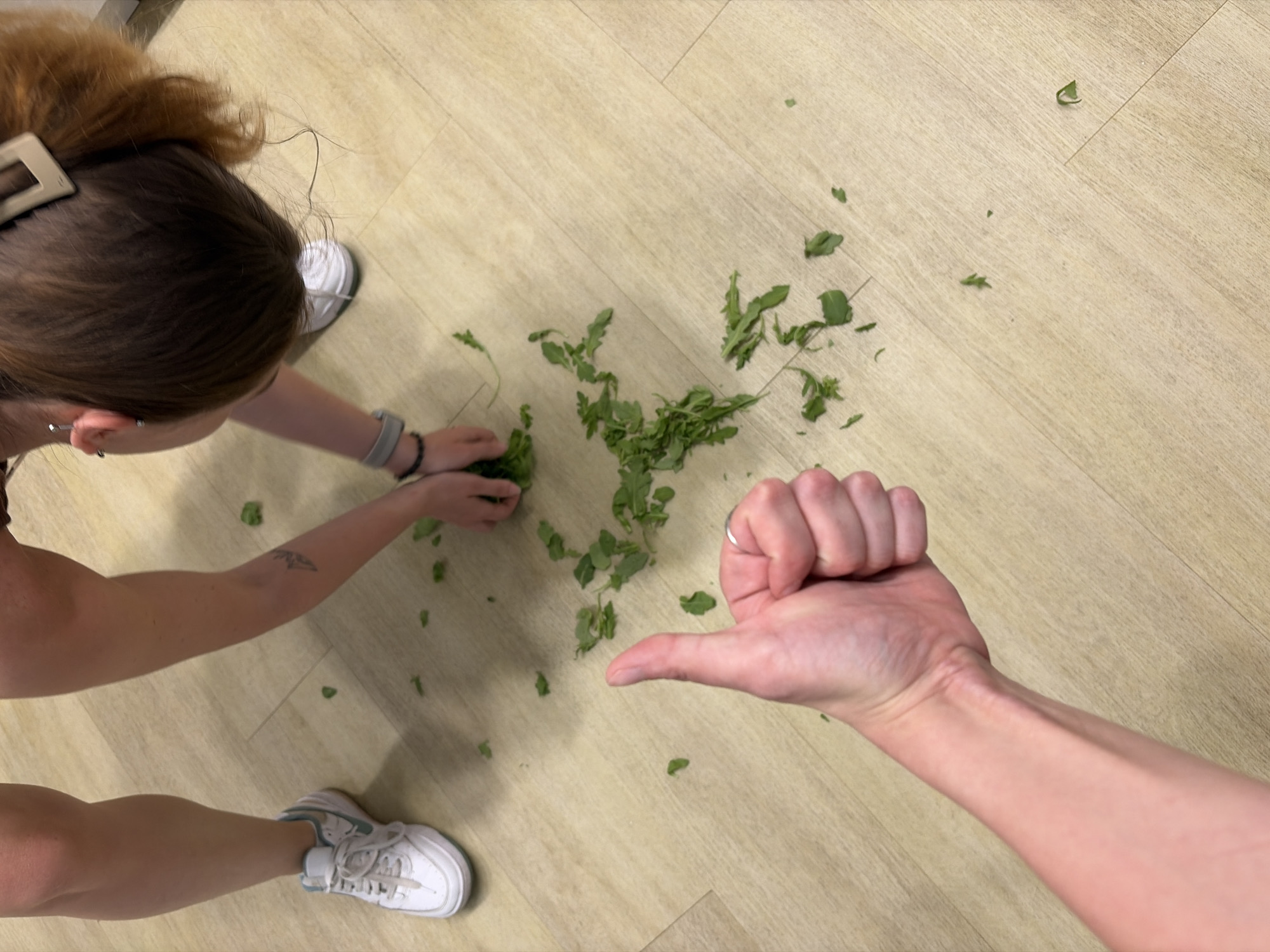 A first-person perspective shot shows a person's arm and hand giving a thumbs up over a light-colored wooden floor. Scattered across the floor are numerous small green leaves, possibly herbs or greens. To the right, another person's hands are visible, gathering a pile of these green leaves. This second person is wearing a grey wristband. Their legs are also visible, one wearing a white athletic shoe with teal accents. The environment appears to be an indoor setting, likely a kitchen or dining area, given the floor material and the presence of what appears to be food preparation.