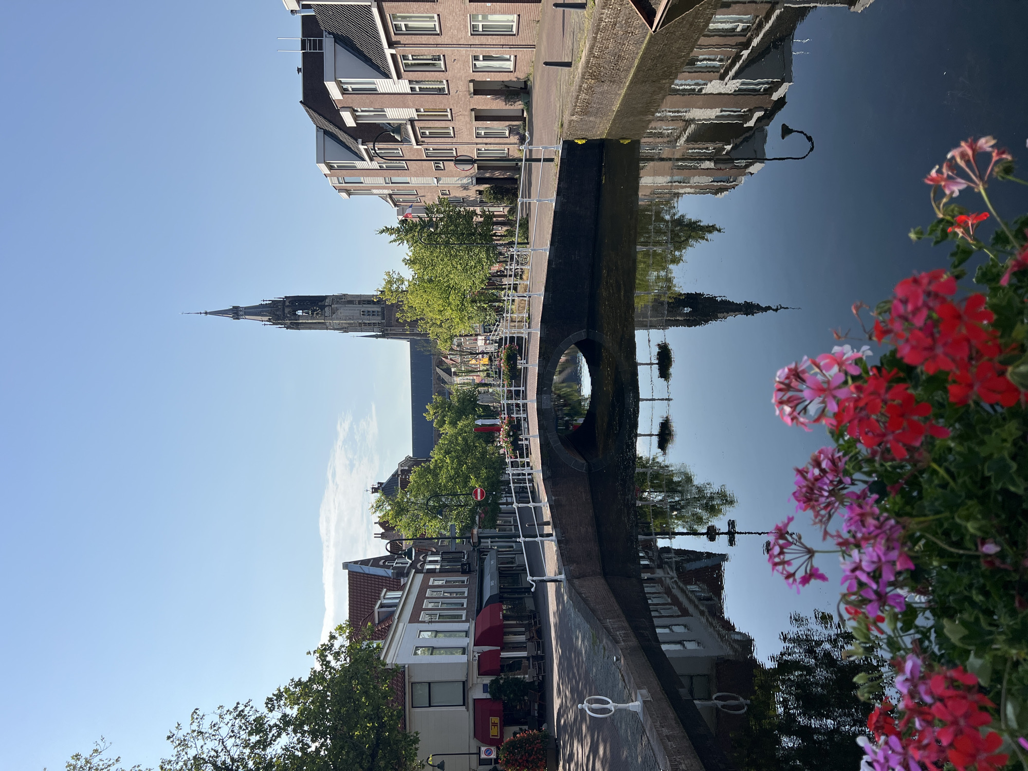This image captures a scenic view of a canal in Delft, Netherlands. In the foreground, a cluster of vibrant pink and red flowers blooms, their colors contrasting with the dark water of the canal. The canal is spanned by a white-railed bridge, reflecting the surrounding architecture in its calm surface. On the left bank of the canal, a row of buildings features traditional Dutch architecture with red-tiled roofs and awnings. Further back, the iconic spire of the Nieuwe Kerk (New Church) pierces the clear blue sky, a prominent landmark of Delft. The right bank is lined with modern brick buildings. The scene is bathed in bright sunlight, creating clear reflections of the buildings and the church spire in the water. There are no people visible in the image. The overall atmosphere is peaceful and picturesque, showcasing the charm of Delft.