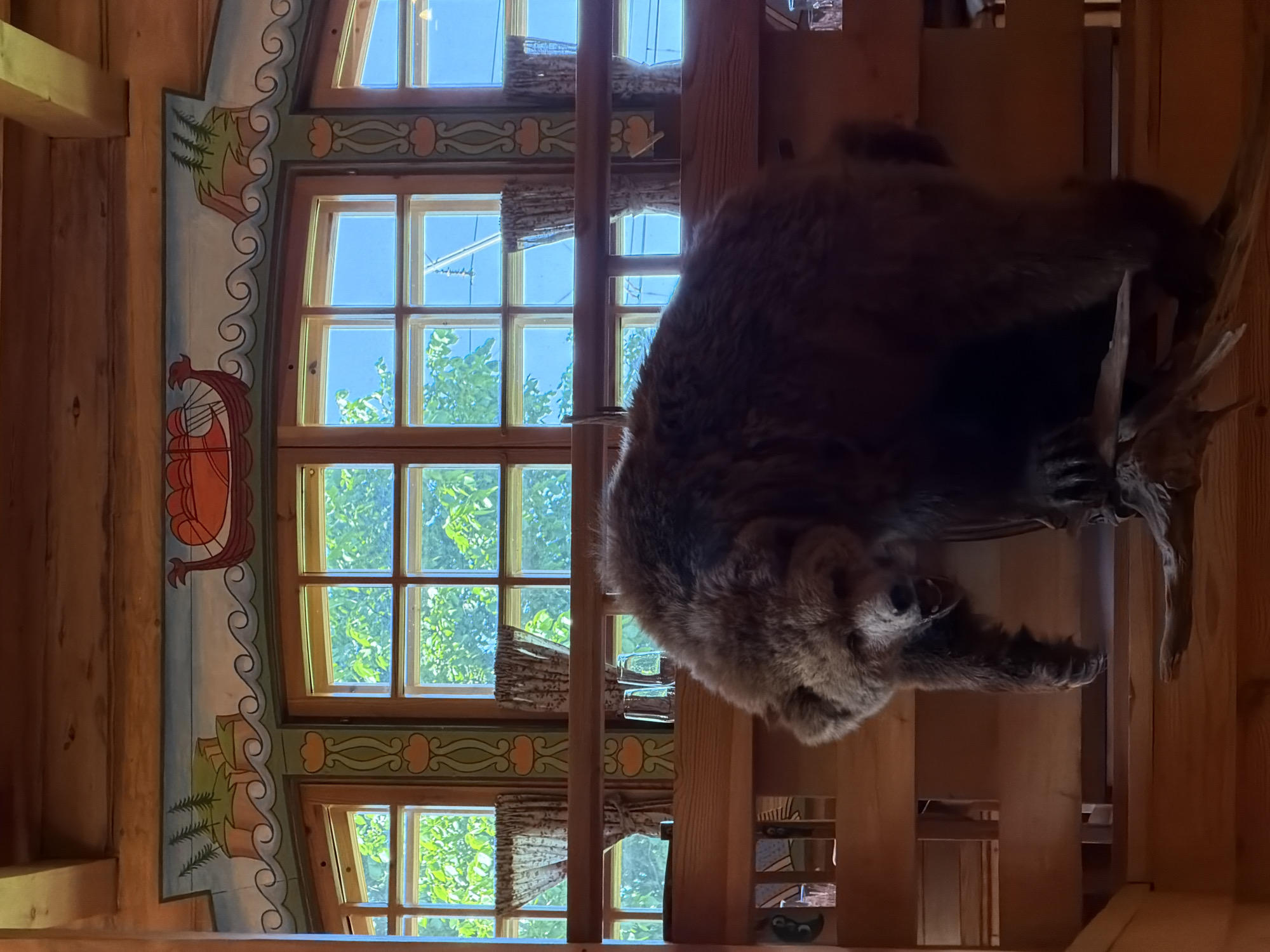 A stuffed brown bear is displayed in what appears to be a rustic wooden interior. The bear is positioned in a semi-crouched stance, with its head tilted forward and mouth open. It is resting on a wooden branch. Behind the bear are several wooden-framed windows, some with patterned curtains. Above the windows, a decorative painted frieze depicts a Viking ship sailing on waves near a rocky island with trees. The overall impression is of a lodge or themed restaurant interior.