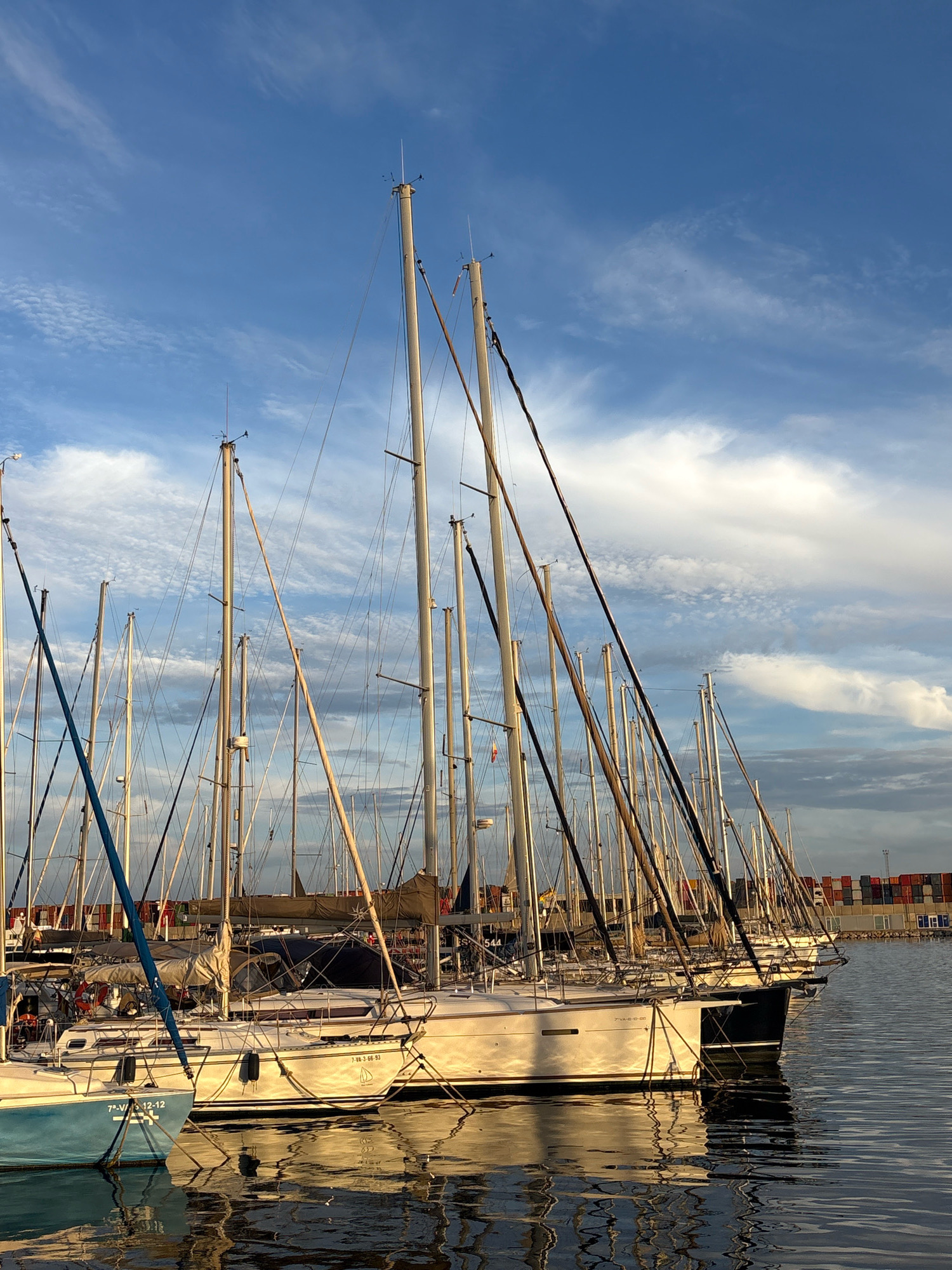The image shows a marina with numerous sailboats docked in the water. The sailboats are of various sizes, with tall masts extending upwards towards a blue sky with scattered white clouds. The boats are lined up closely together, creating a dense arrangement of masts and rigging. The water reflects the boats and the sky, creating a shimmering effect. In the background, a dock or pier is visible with shipping containers stacked high, suggesting the proximity of a commercial port. One sailboat in the foreground on the left has "7º-VI-12-12" written on its blue hull. Another sailboat to its right has "7º-VA-3-66-93" written on its hull. The lighting suggests it is either early morning or late afternoon, with warm light casting shadows and highlighting the water's surface. The scene appears to be at a marina in Valencia, Spain, possibly near the port area given the presence of shipping containers. There are no visible people in the image.