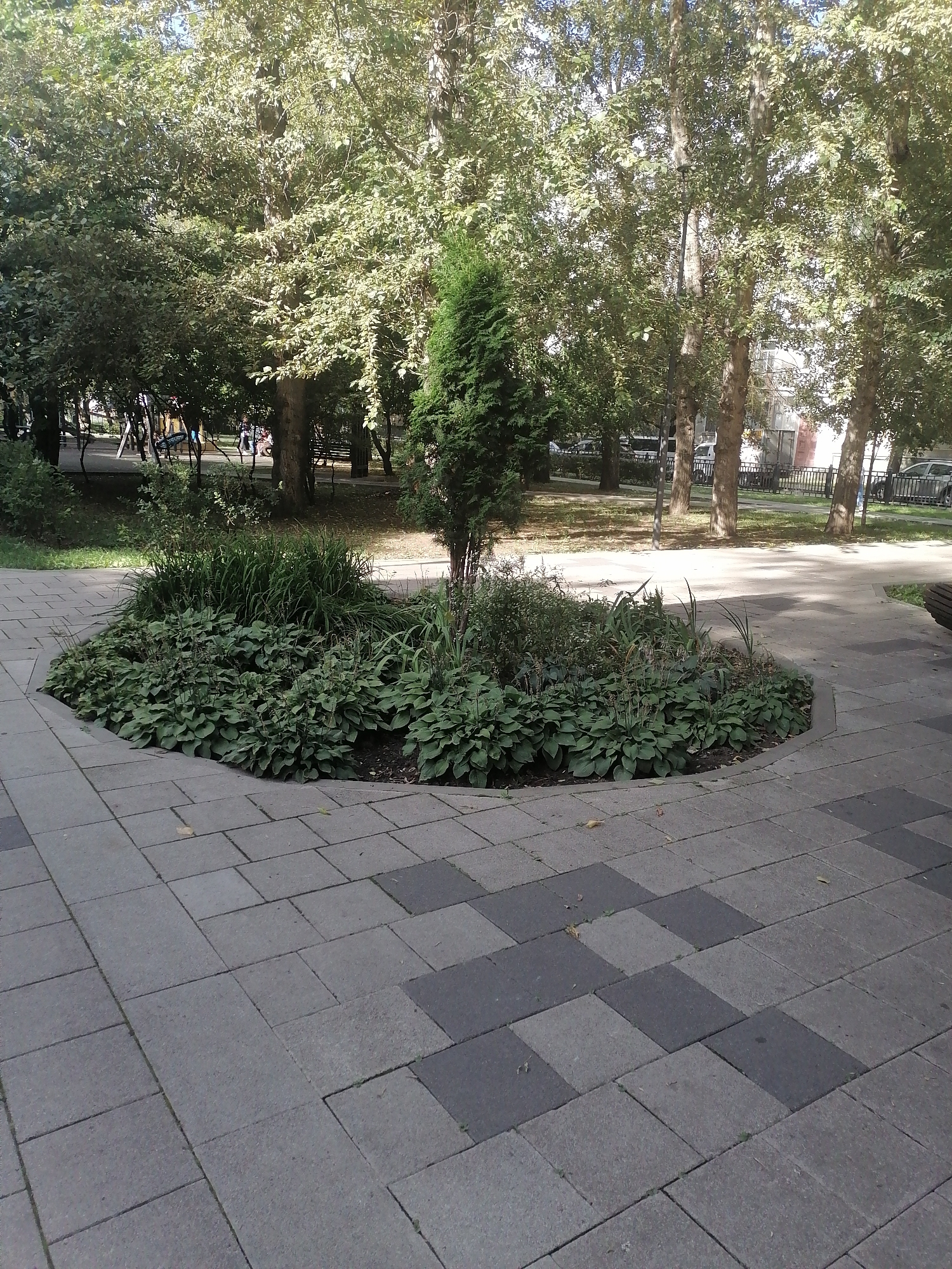 Memory