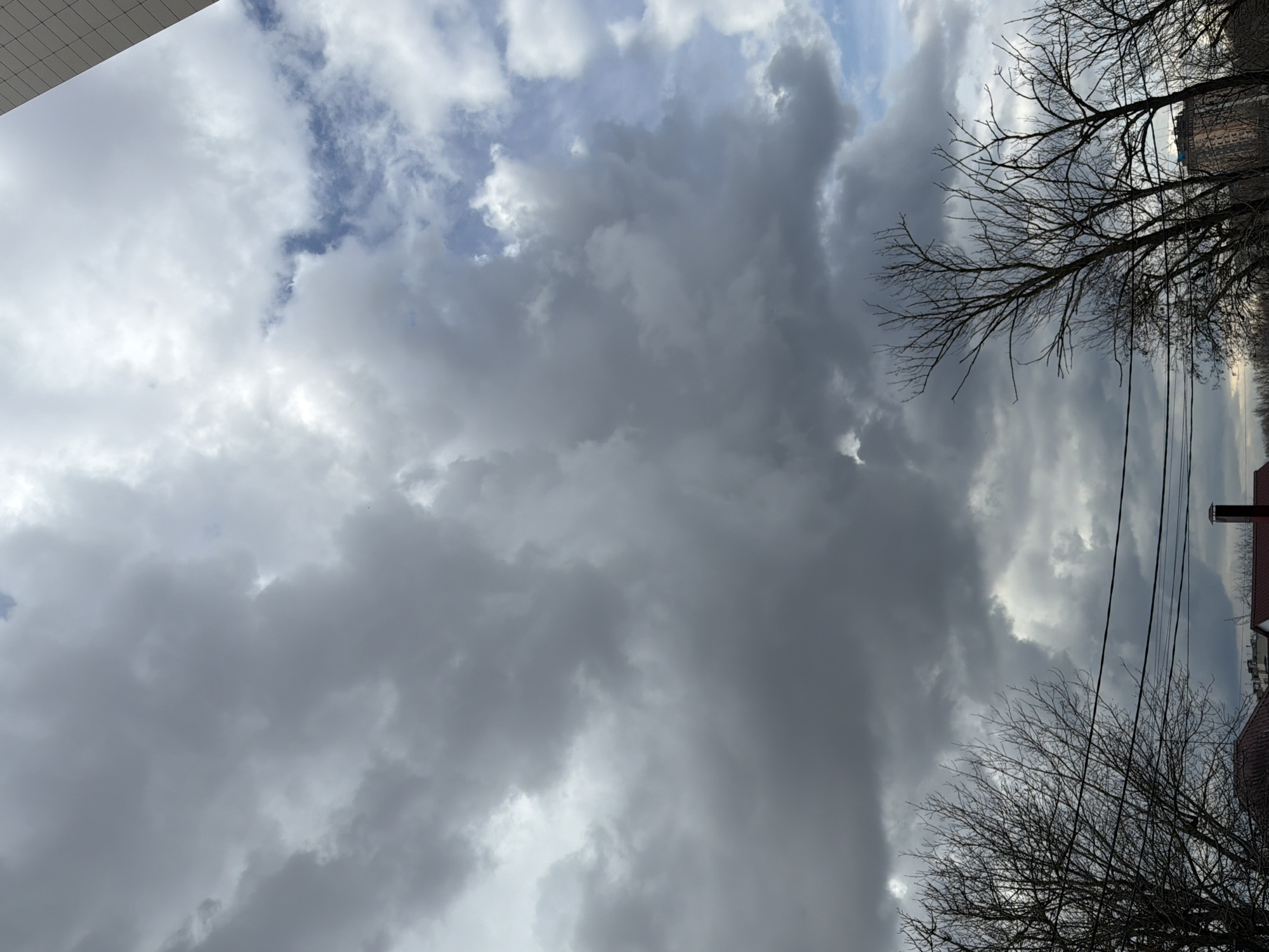 The image shows a cloudy sky in Rostov-on-Don, Russia. Bare tree branches are visible against the sky. Utility lines stretch across the right side of the frame. The corner of a building is seen in the top left. Other buildings are visible in the distance on the right side.