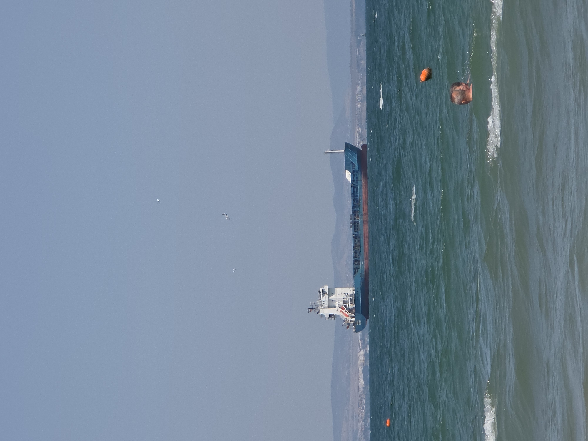 An aerial view of a cargo ship sailing on the sea, with mountains and a city in the background. In the foreground, a man is swimming in the ocean. The sky is clear and blue, with a few birds flying in the distance. The water is choppy, with small waves. The cargo ship is large and blue, with a white superstructure. The city in the background is spread out along the coast, with many buildings visible. The mountains in the background are rolling and green.