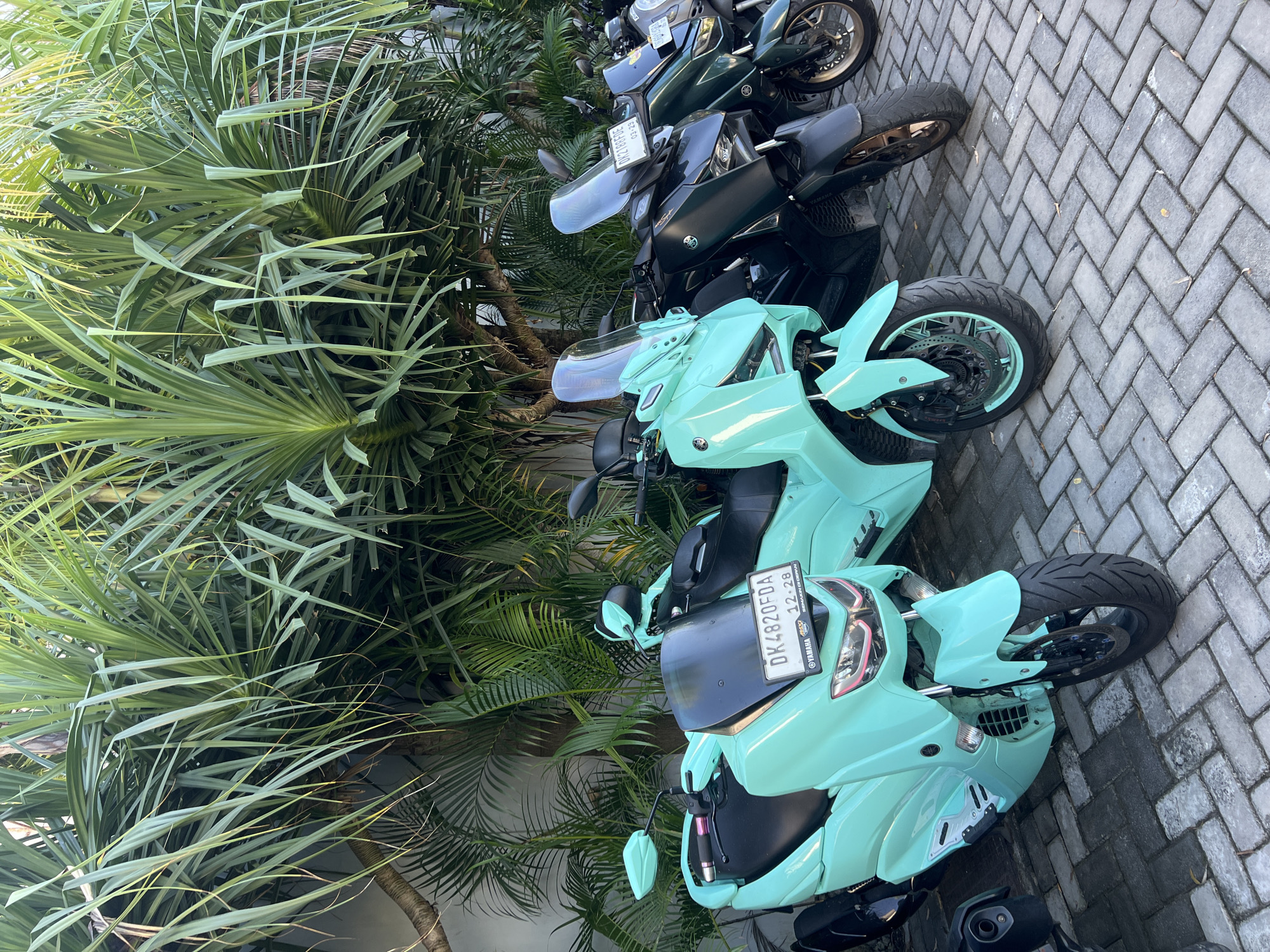 The image captures a row of motorcycles parked on a gray brick pavement, seemingly in an urban setting. Lush, green palm-like plants partially frame the scene on the left side of the image. The motorcycles include models in shades of green, with at least two prominently displaying a pale, minty-turquoise color scheme. One scooter has a visible license plate that reads "DK 4820 FDA." The license plate indicates the vehicle is registered in Bali, Indonesia. The date "12.28" is also visible on the license plate. The motorcycles are parked close together, suggesting a designated parking area. The lighting in the image suggests a daytime setting.
