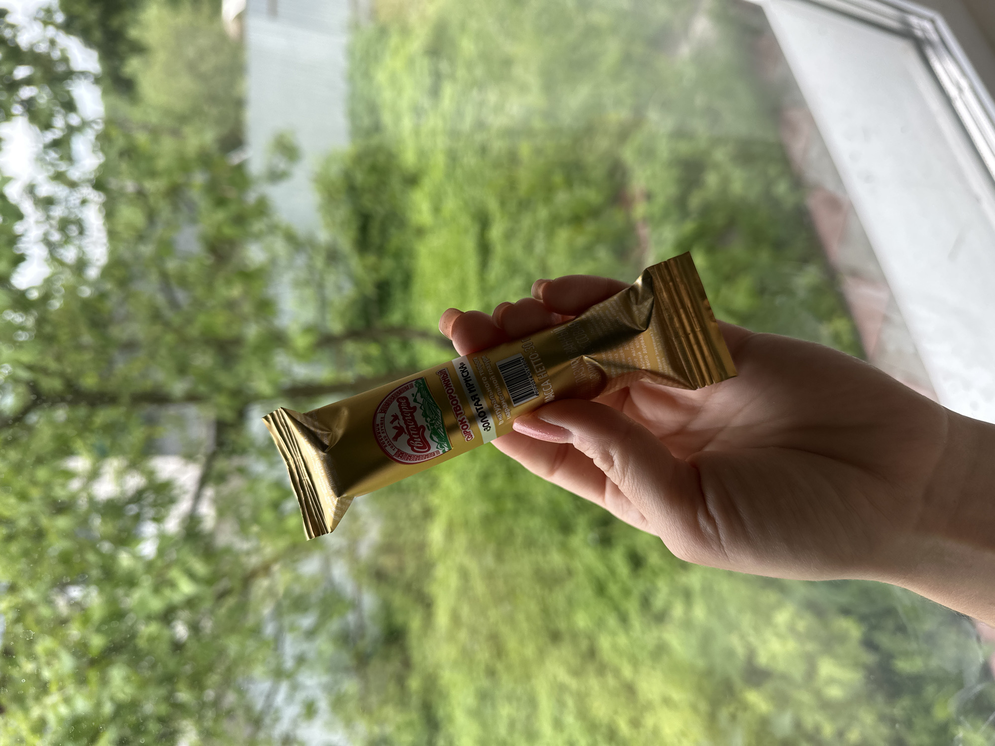 A woman's hand holds a wrapped "Syrok Tvorozhny" glazed cheese bar by "Lukogorye" brand, "Golden Iriska" flavor, against a blurred background of green foliage, likely viewed through a window, in Nizhny Novgorod, Russia. The product label is partially visible. The hand and package are in focus, while the background is out of focus.