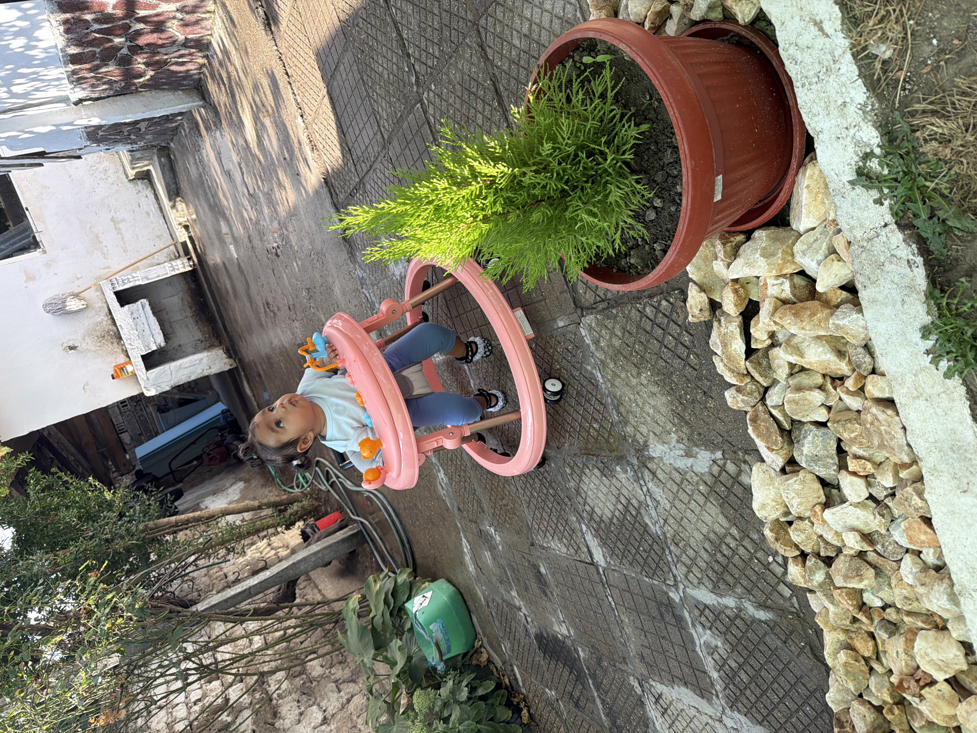 A toddler is in a pink walker in a courtyard. The toddler is wearing a light blue shirt and light blue pants. The walker has orange toys attached to it. The courtyard is paved with square tiles and there are rocks in the foreground. A potted plant is to the right of the walker. There are buildings and trees in the background. The scene is likely in Razhevo Konare, Bulgaria, a village in the Plovdiv Province of southern Bulgaria.
