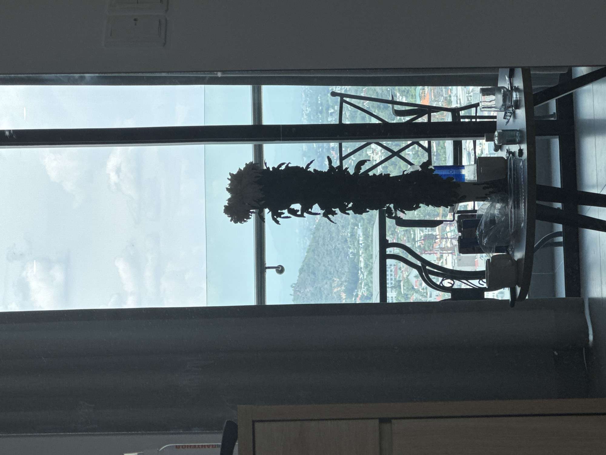 The image shows an indoor scene looking out a large window with a view of a city and hills. In the foreground, a tall, artificial plant with large, white flowers stands prominently in a vase on a round, dark-colored table. The table is also adorned with various objects, including a white mug, a clear glass with liquid, a small bottle of hand sanitizer, a clear plastic container, and some other unidentifiable items. To the left of the table and plant, part of a wooden cabinet is visible. A dark grey curtain hangs on the left side of the frame.
The window reveals a cityscape with buildings and roads, receding into a hazy distance. Beyond the city, rolling green hills are visible under a cloudy sky. A black metal railing and chairs suggest an outdoor balcony or patio area visible through the window. The overall impression is a residential interior with a scenic view. The location is identified as Bac Nha Trang Ward, Vietnam.