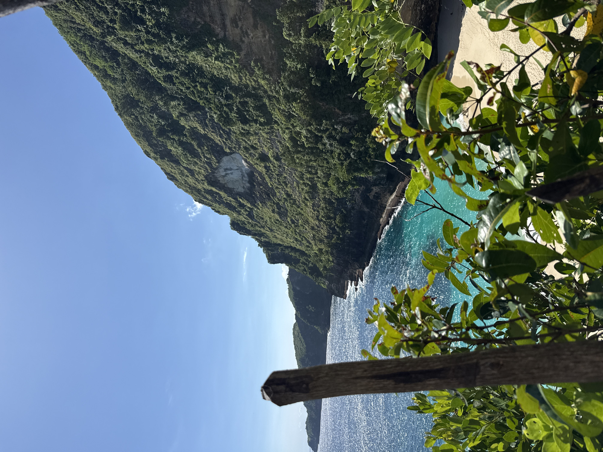 View of Kelingking Beach, Nusa Penida, Bunga Mekar, Indonesia, looking down from a high, vegetated cliff. The turquoise water of the ocean contrasts with the white sand of the beach below. Dense green vegetation covers the cliff face. A wooden rail or branch is partially visible in the foreground, with green leaves of a tree or bush obscuring some of the view. The sky is a clear blue.