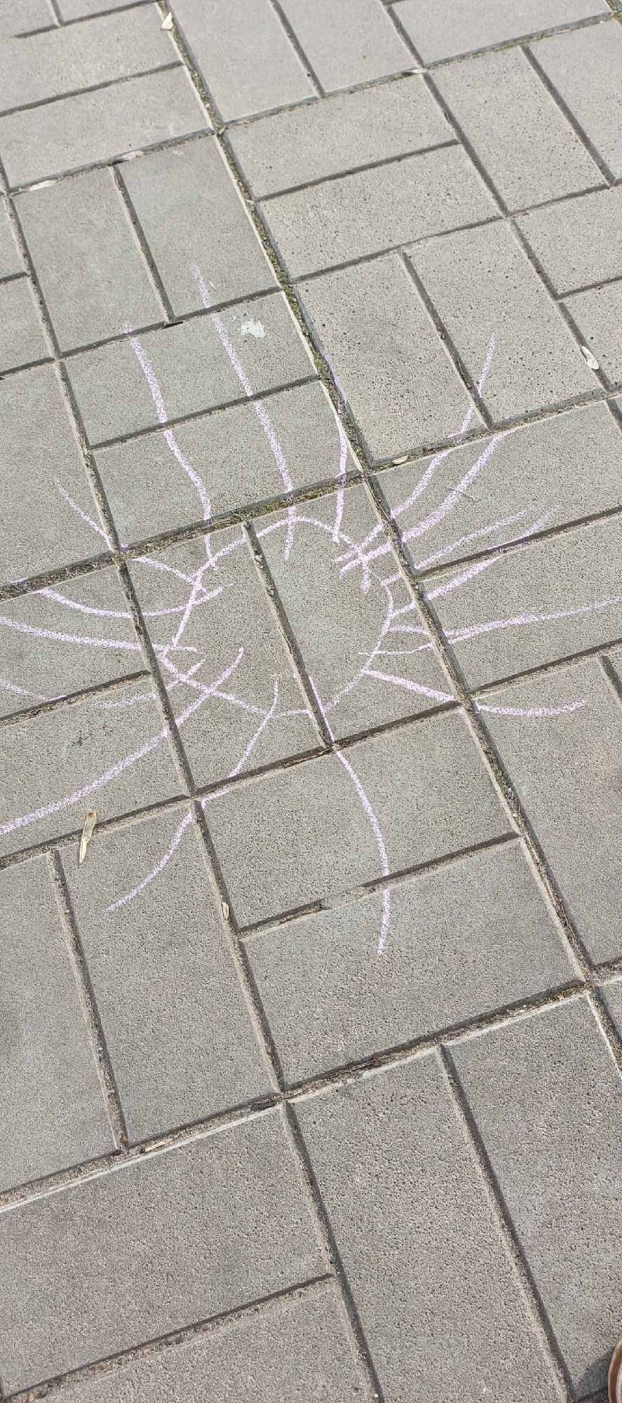 A photograph shows a gray concrete block sidewalk with a drawing in faded pink chalk. The drawing appears to be an abstract image or radiating lines. The location is unknown.
