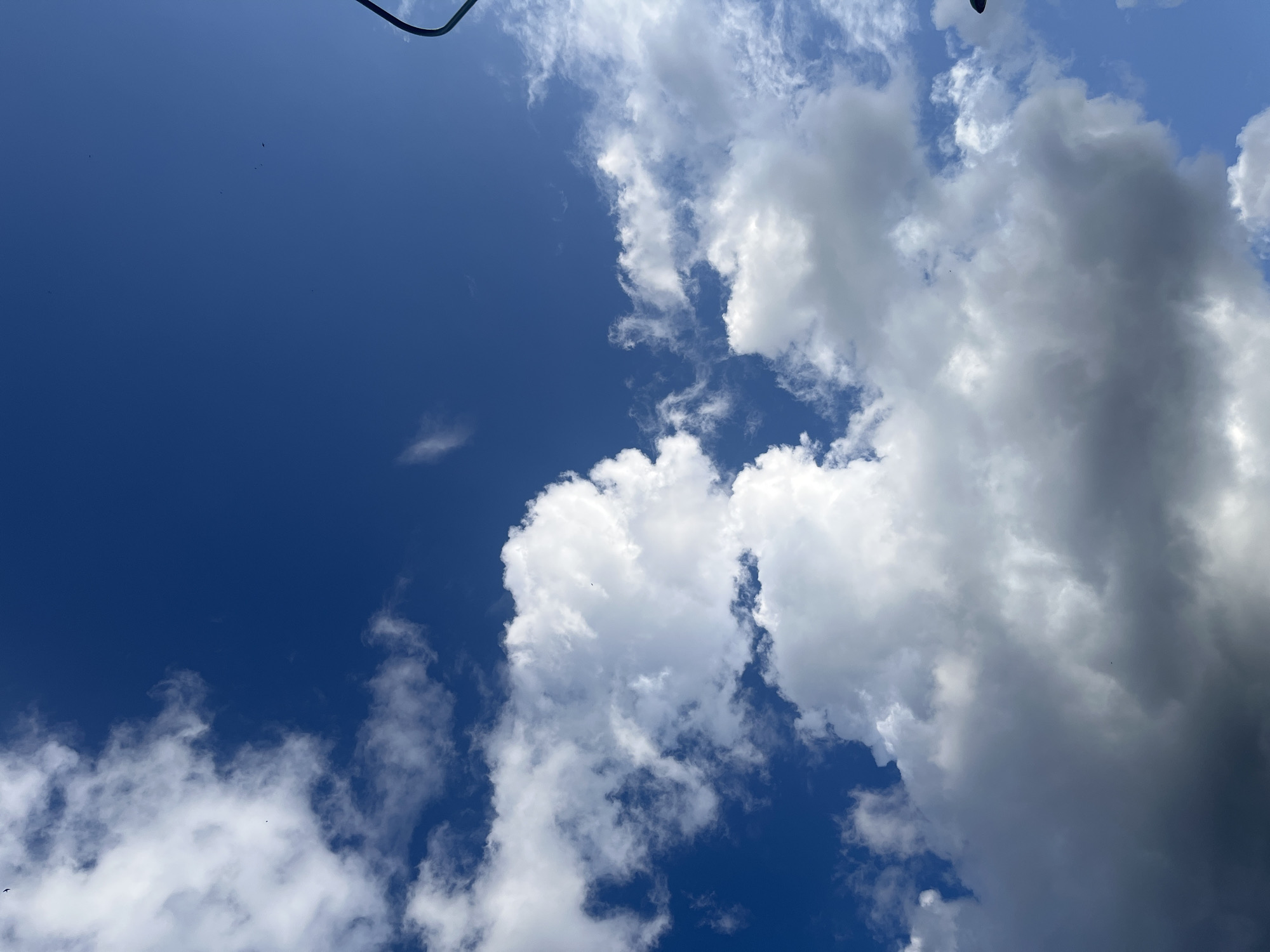 This image captures a vast expanse of a deep blue sky, dotted with a variety of clouds. In the lower left portion of the frame, large, fluffy cumulus clouds dominate, appearing bright white where illuminated by the sun, and transitioning to darker gray tones in their shadowed undersides, suggesting depth and volume. Scattered amongst these are thinner, wispy cirrus clouds, adding texture to the sky. A few dark specks, likely birds or insects, are visible as tiny dots against the blue. On the far right edge of the image, a curved, dark object, possibly a portion of a lamppost or a utility pole, intrudes into the frame from the top, angled downwards. The overall impression is one of an outdoor scene on a day with variable cloud cover. Without further context or visual cues, it is impossible to definitively place this image within the city of Brasov, Romania.