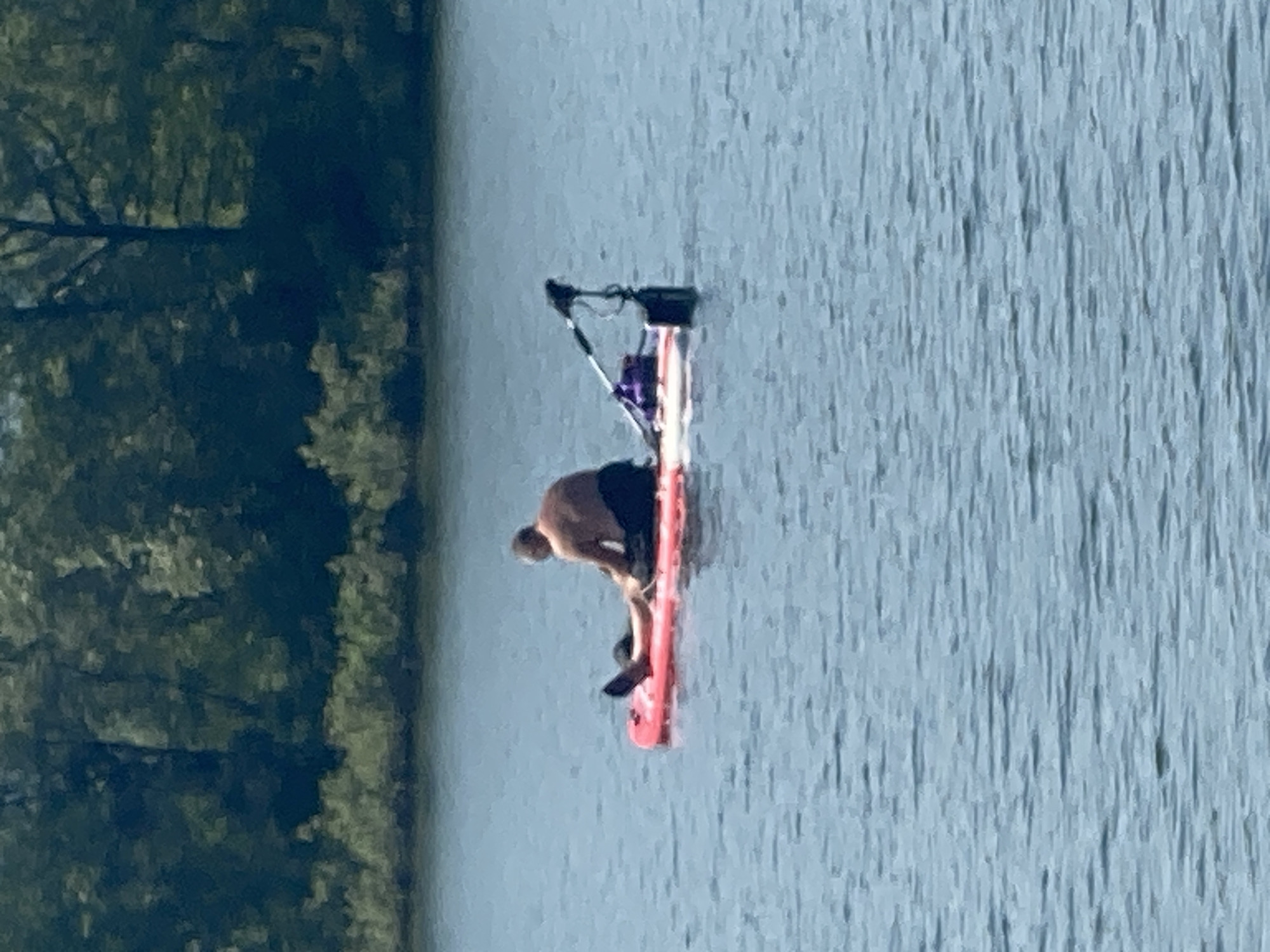 A person is sitting on a red inflatable raft in the middle of a body of water. The person is wearing dark shorts and is shirtless. The raft is equipped with a small electric trolling motor mounted at the back. In the background, a dense line of green trees and foliage forms the shoreline. The water is calm with small ripples. The lighting suggests it is daytime, likely with sunlight. The location is not specified within the city of Novokuznetsk, Russia.